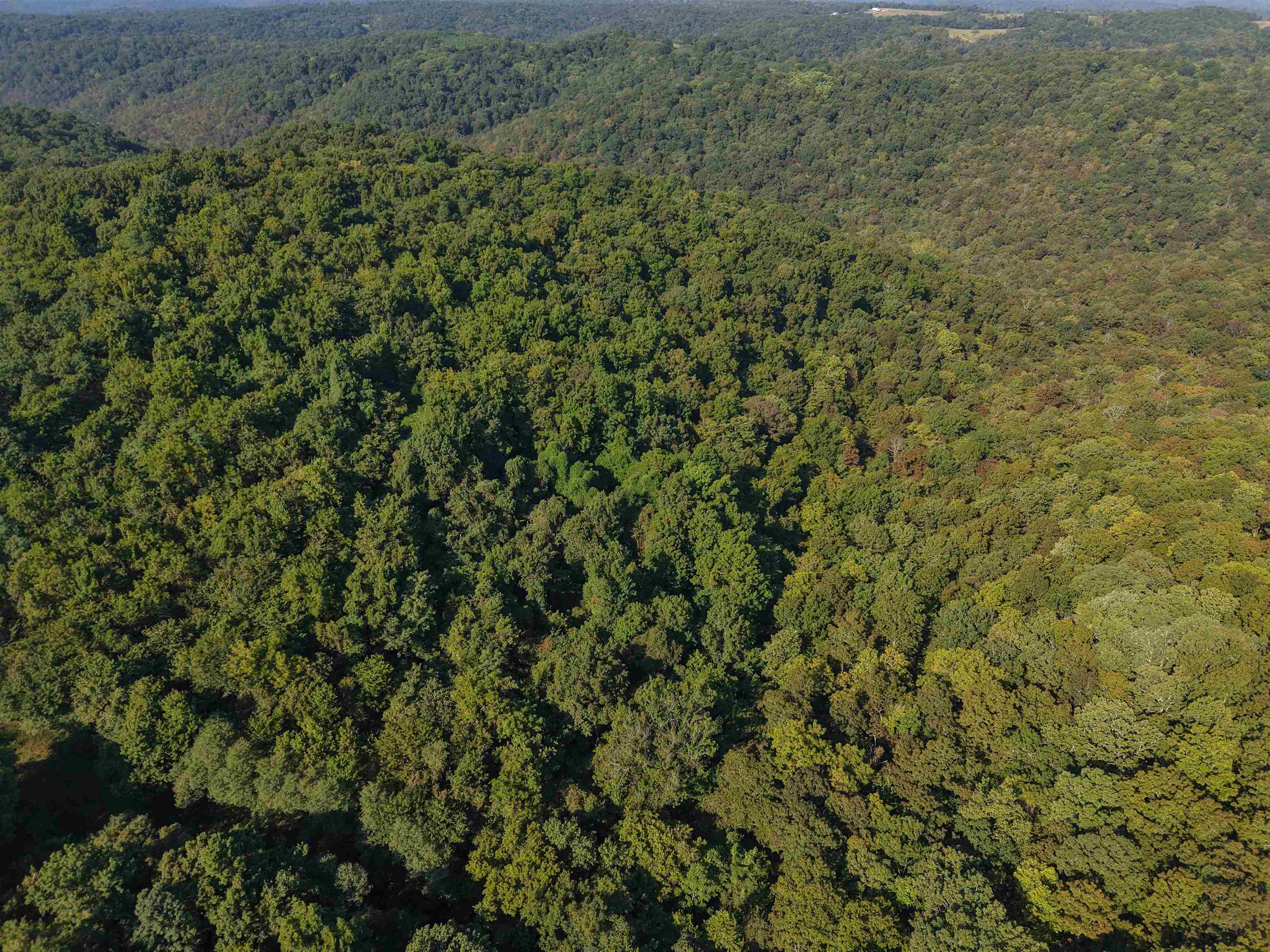 Photo 36 - Vacant Land for sale – 180A  Lafferty Road   Mount Pleasant, AR