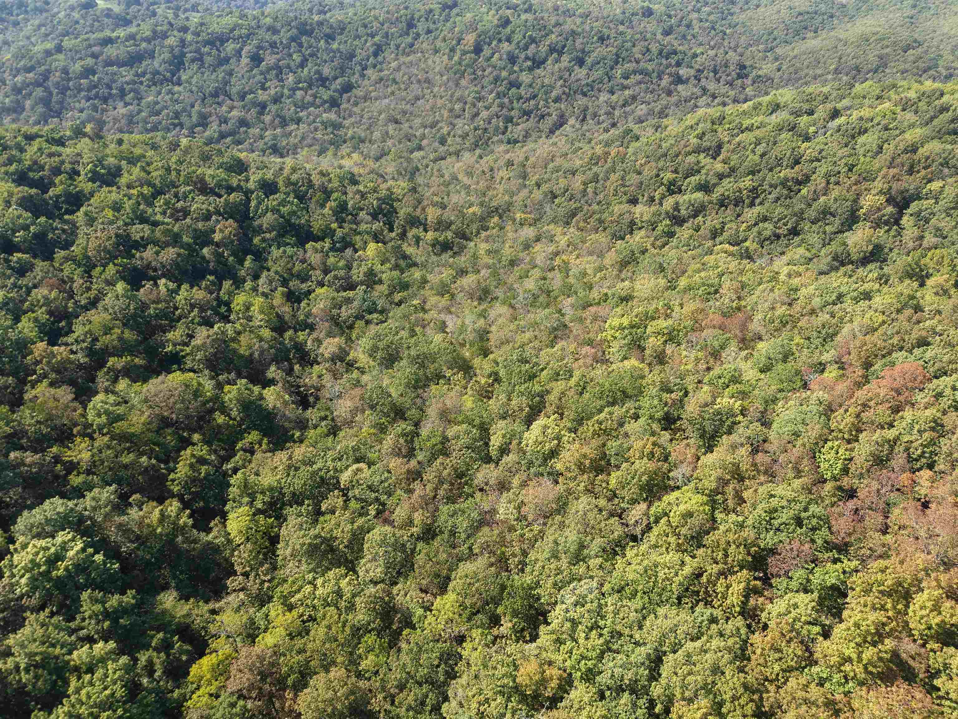 Photo 37 - Vacant Land for sale – 180A  Lafferty Road   Mount Pleasant, AR