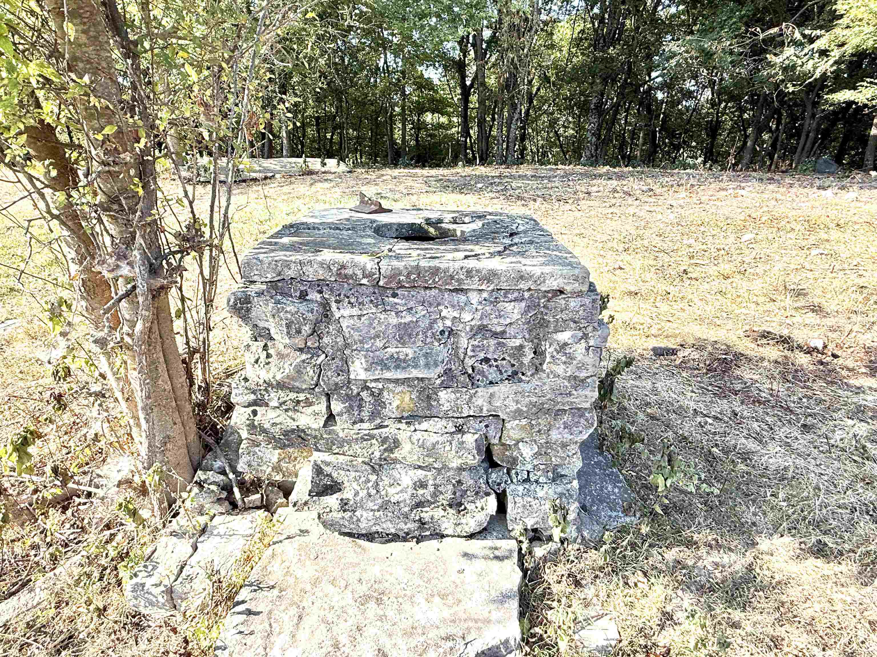 Photo 5 - Vacant Land for sale – 180A  Lafferty Road   Mount Pleasant, AR