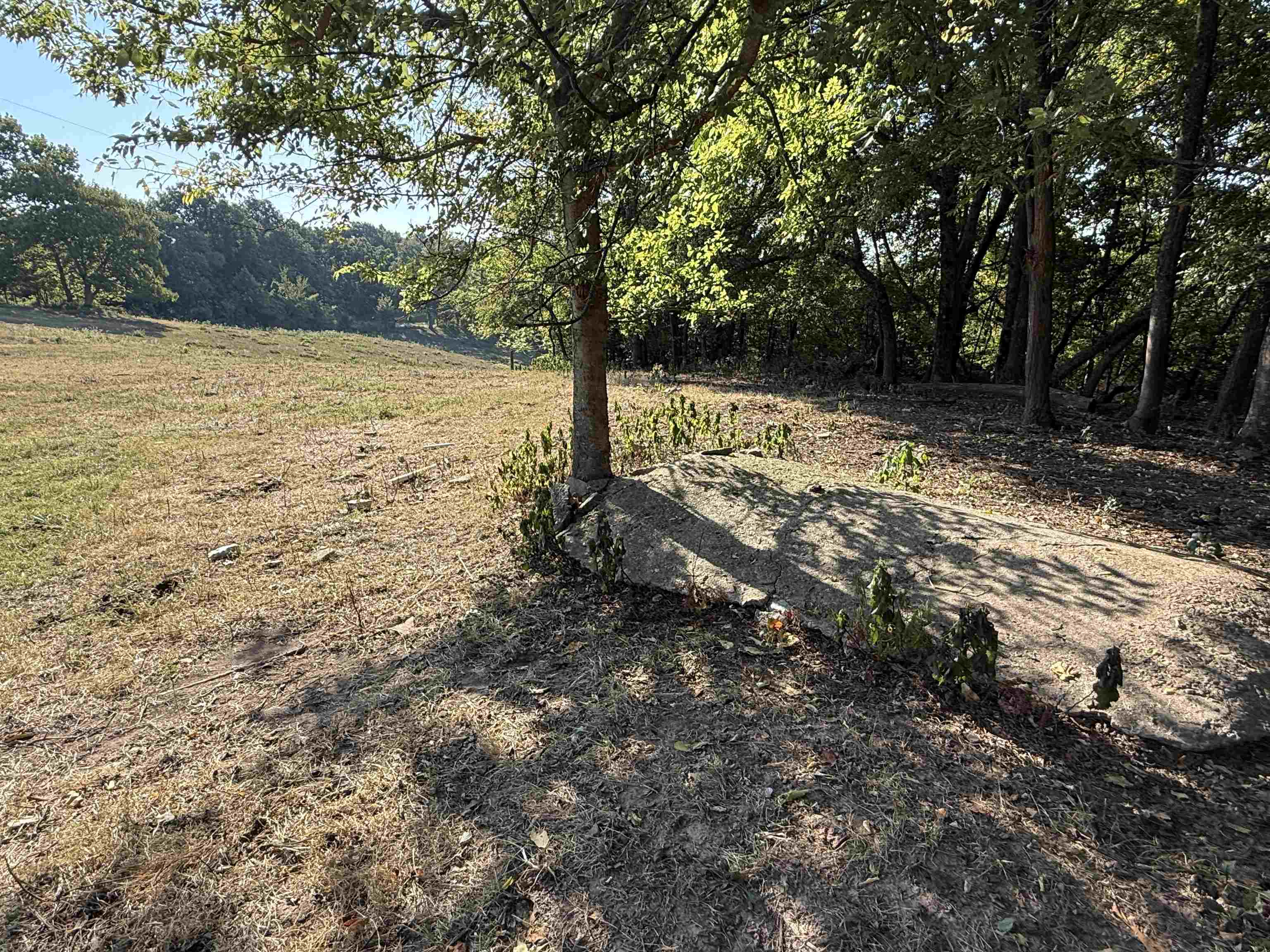 Photo 6 - Vacant Land for sale – 180A  Lafferty Road   Mount Pleasant, AR