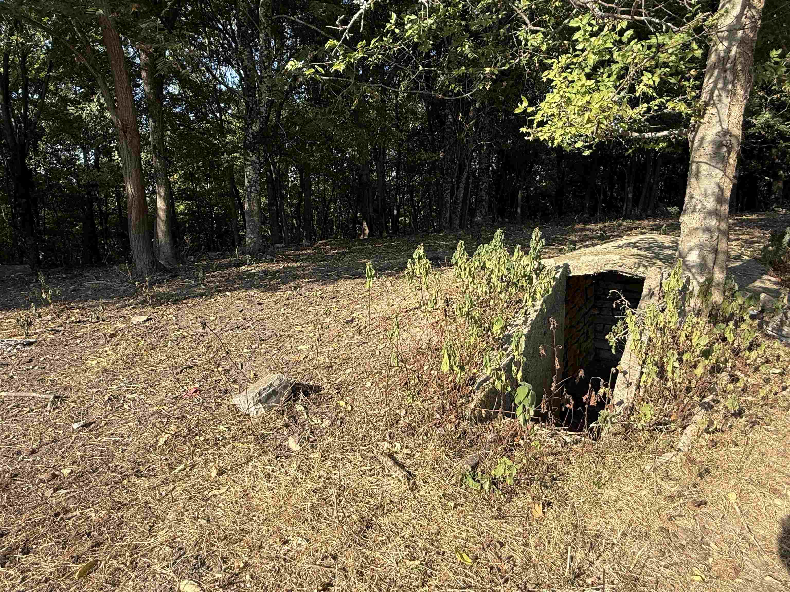 Photo 7 - Vacant Land for sale – 180A  Lafferty Road   Mount Pleasant, AR