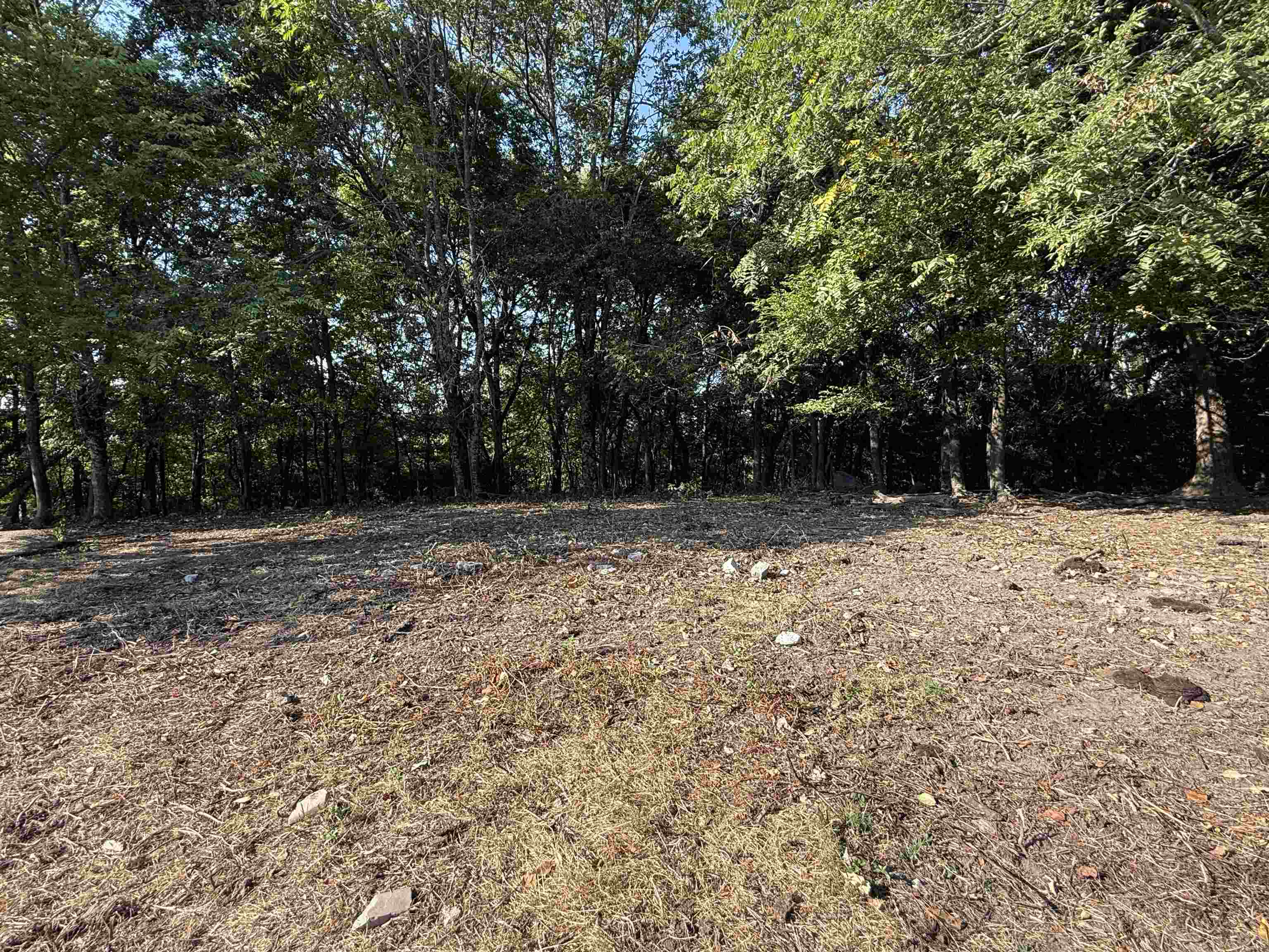 Photo 9 - Vacant Land for sale – 180A  Lafferty Road   Mount Pleasant, AR