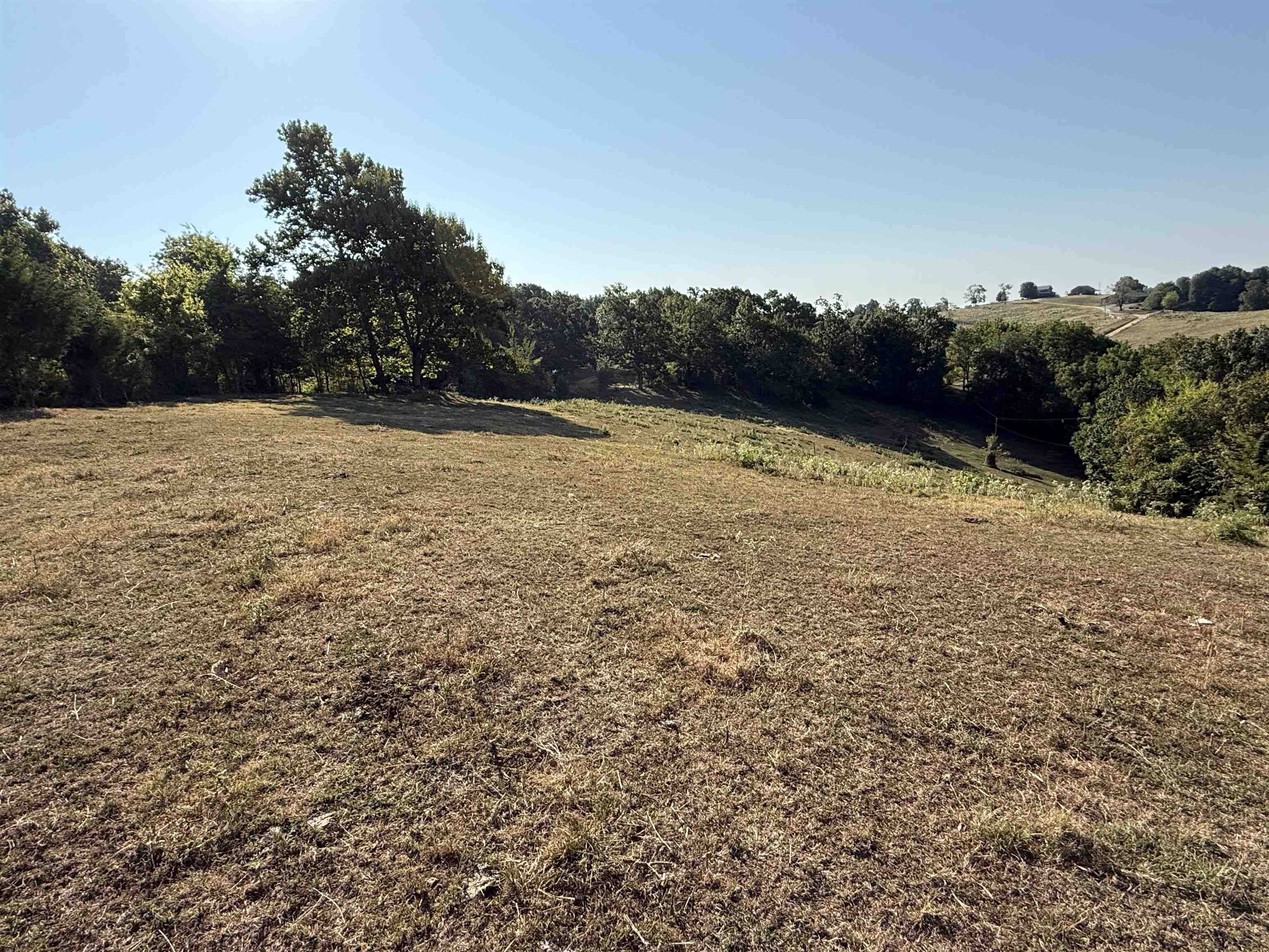 Photo 10 - Vacant Land for sale – 180A  Lafferty Road   Mount Pleasant, AR