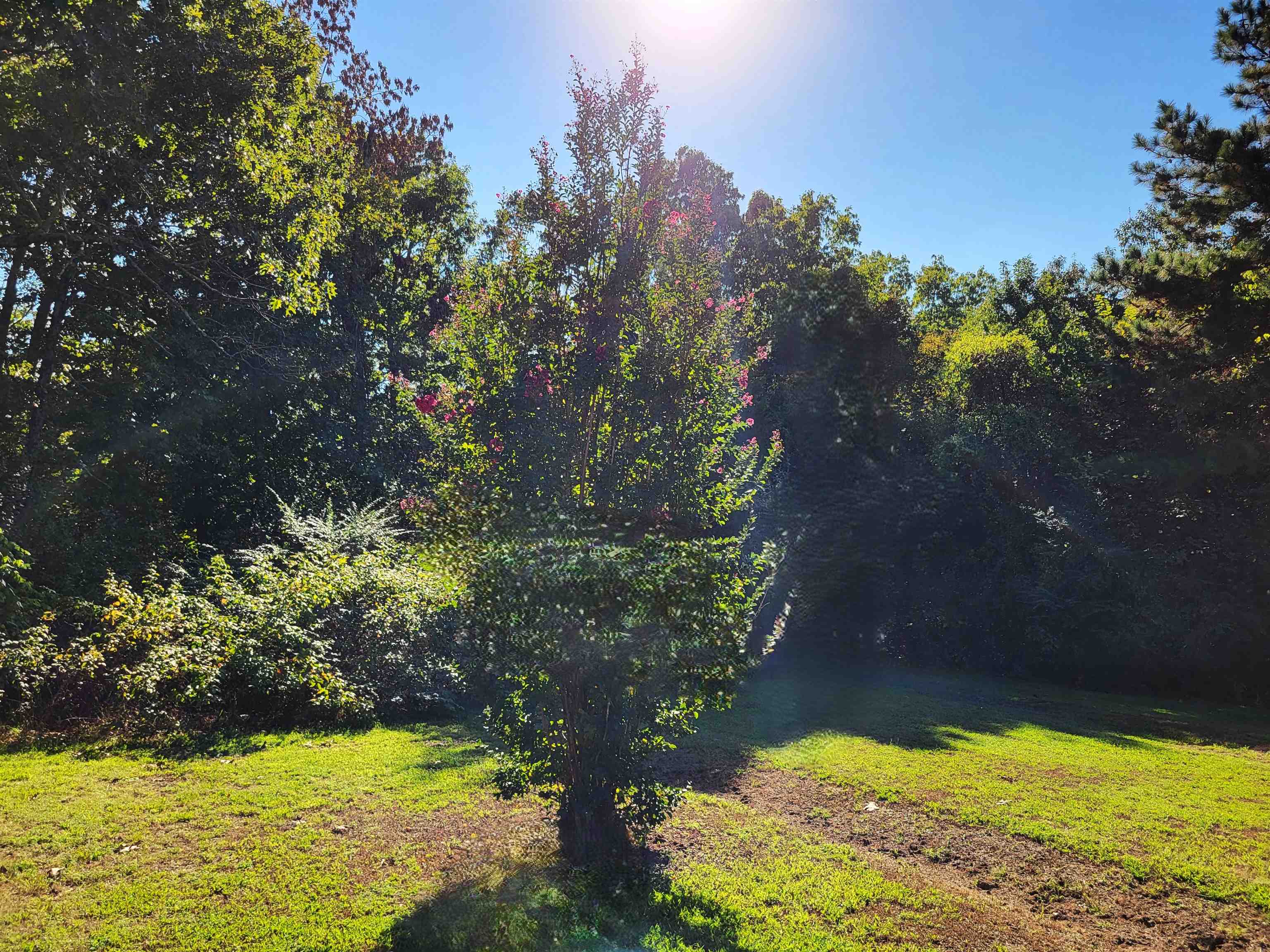 Photo 4 - Residential for sale – 1301 & 1303  Raven Lane   Horseshoe Bend, AR