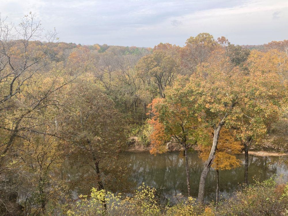 Photo 29 - Residential for sale – 44  Wabash   Cherokee Village, AR