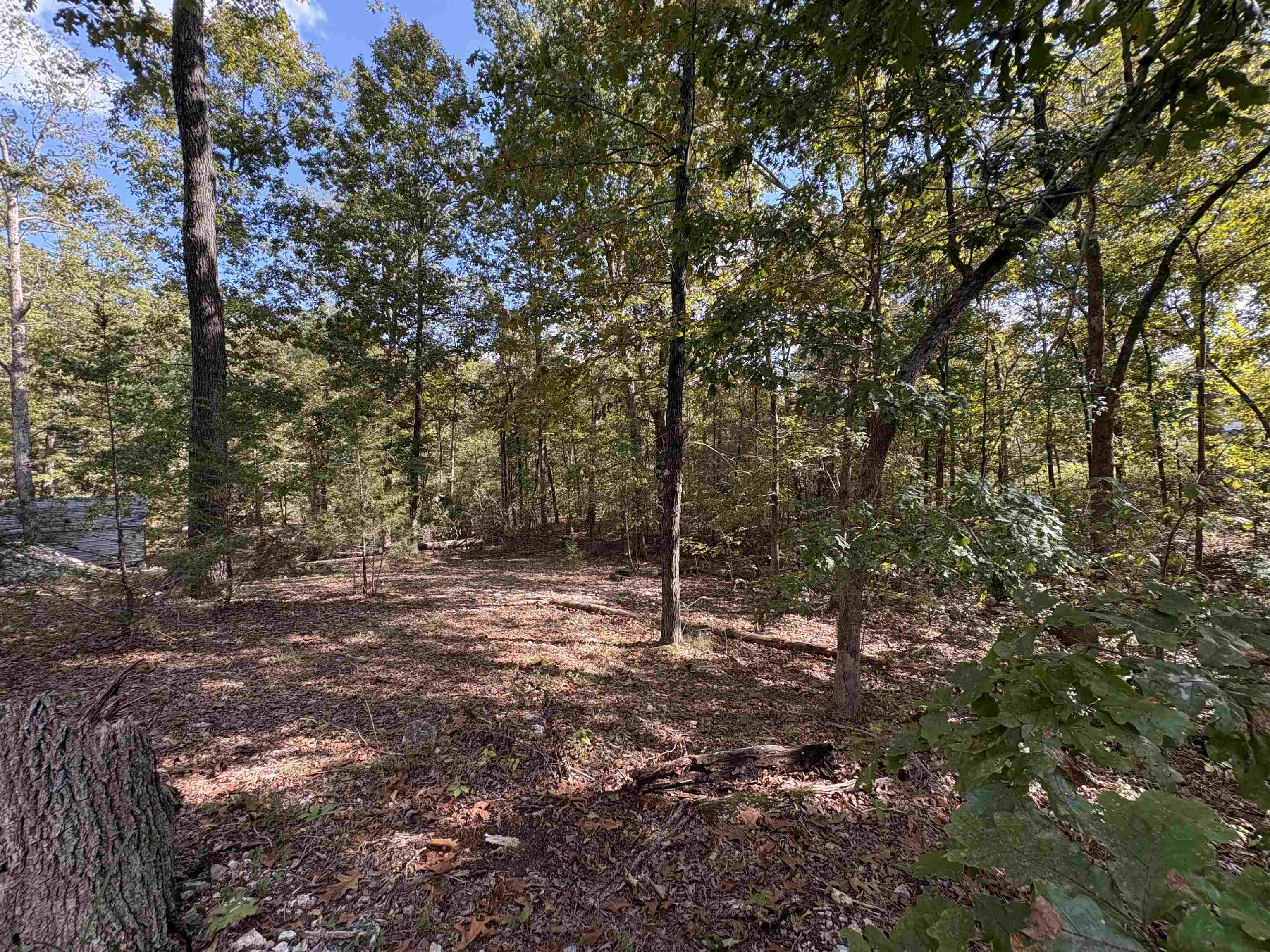 Photo 39 - Residential for sale – 1  Deer   Williford, AR