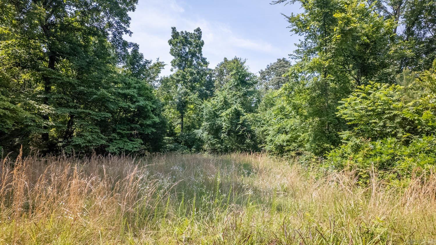 Photo 36 - Residential for sale – 185  Timber Valley Road   Mammoth Spring, AR