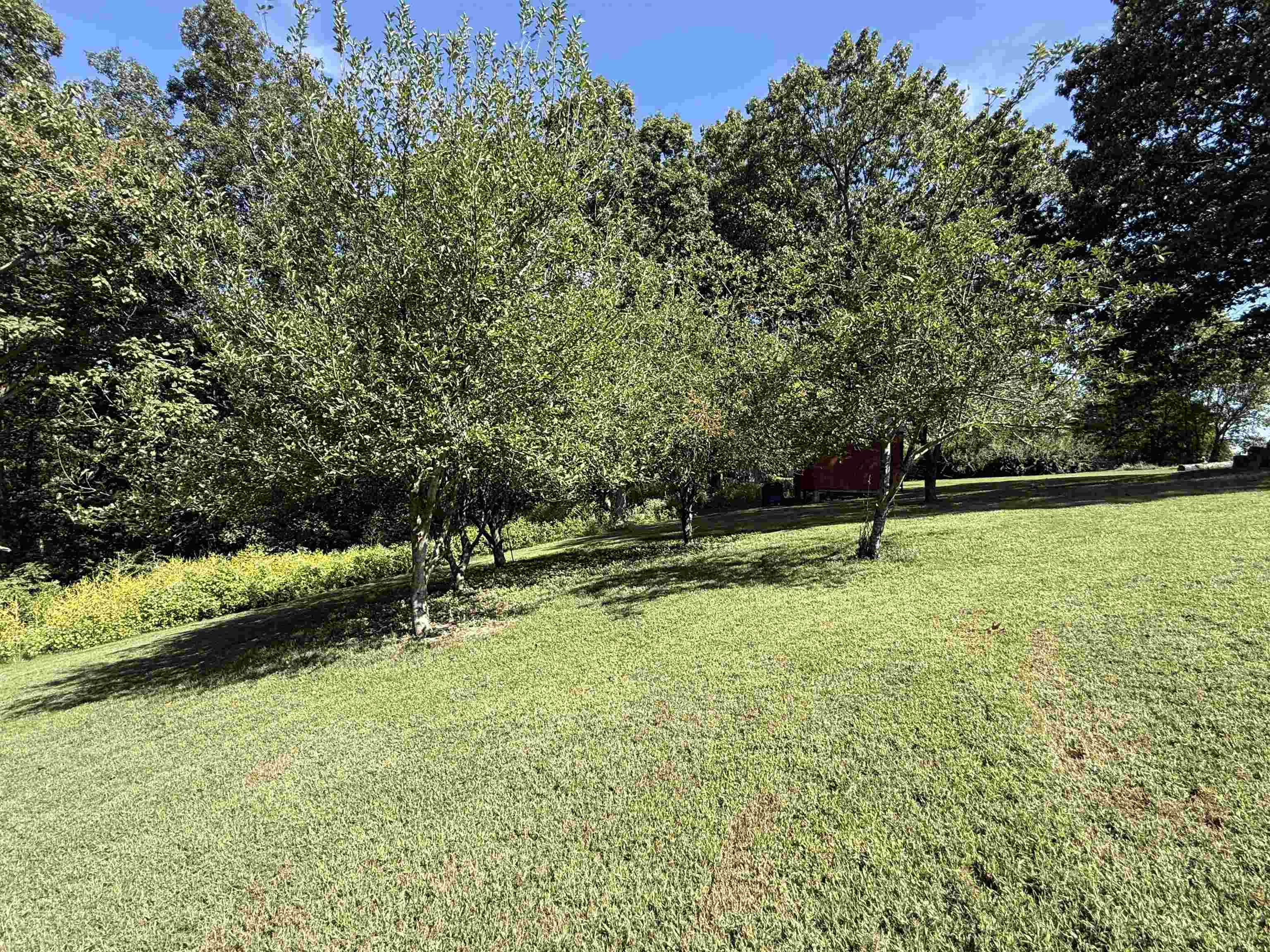 Photo 39 - Residential for sale – 350  Love Hollow   Mount Pleasant, AR
