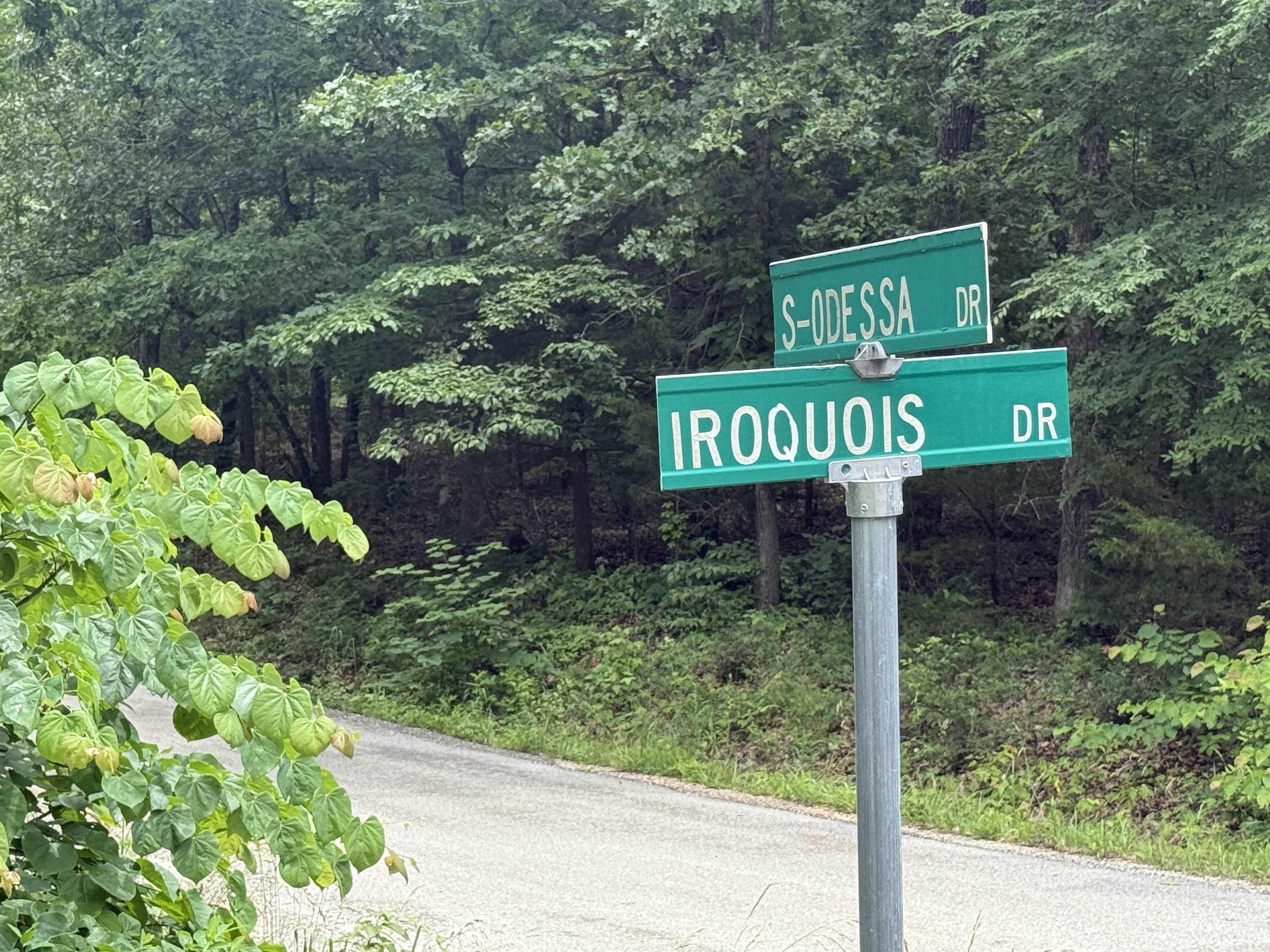 Photo 2 - Vacant Land for sale – 000  Iroquois   Cherokee Village, AR