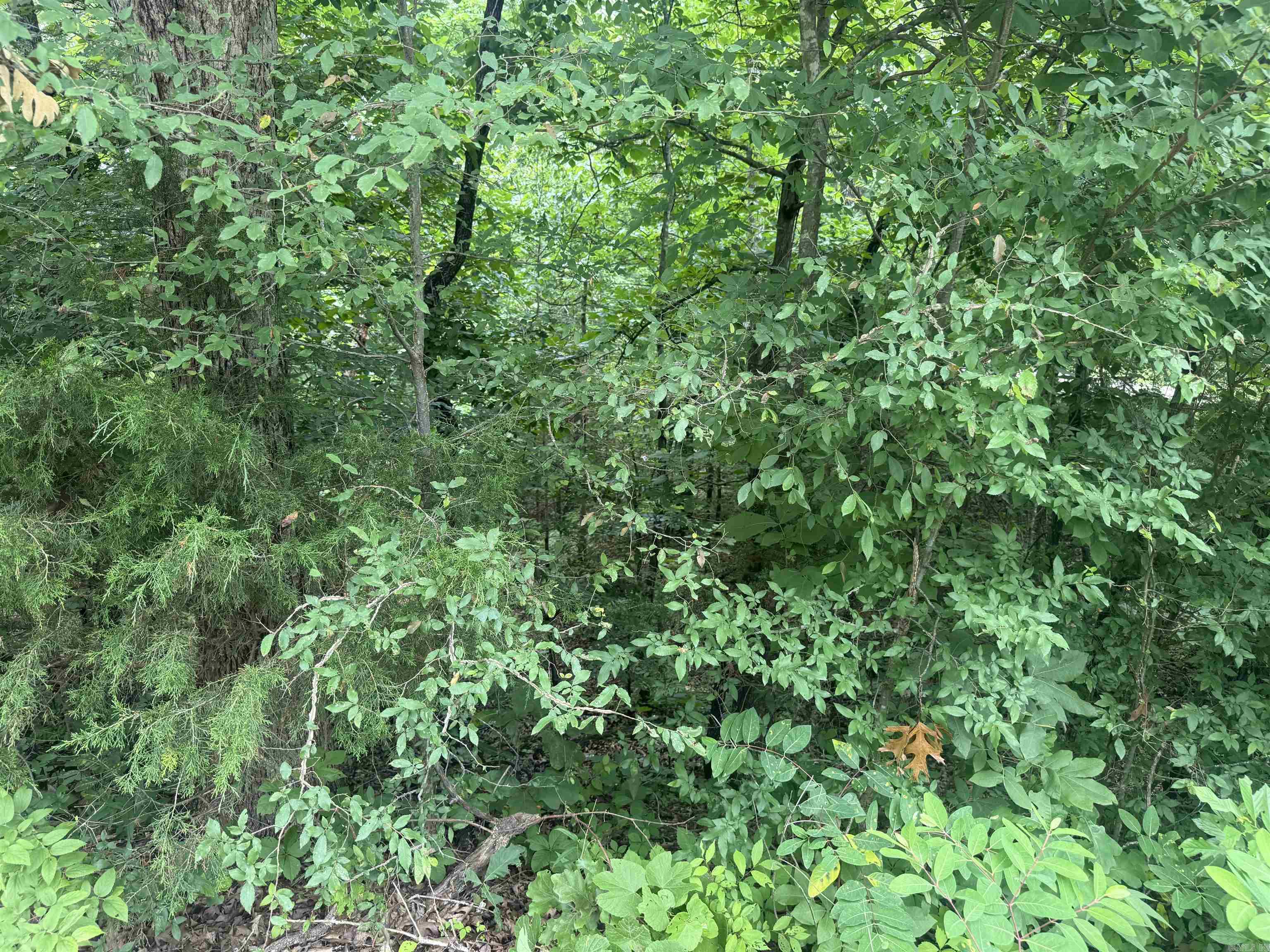Photo 3 - Vacant Land for sale – 000  Iroquois   Cherokee Village, AR