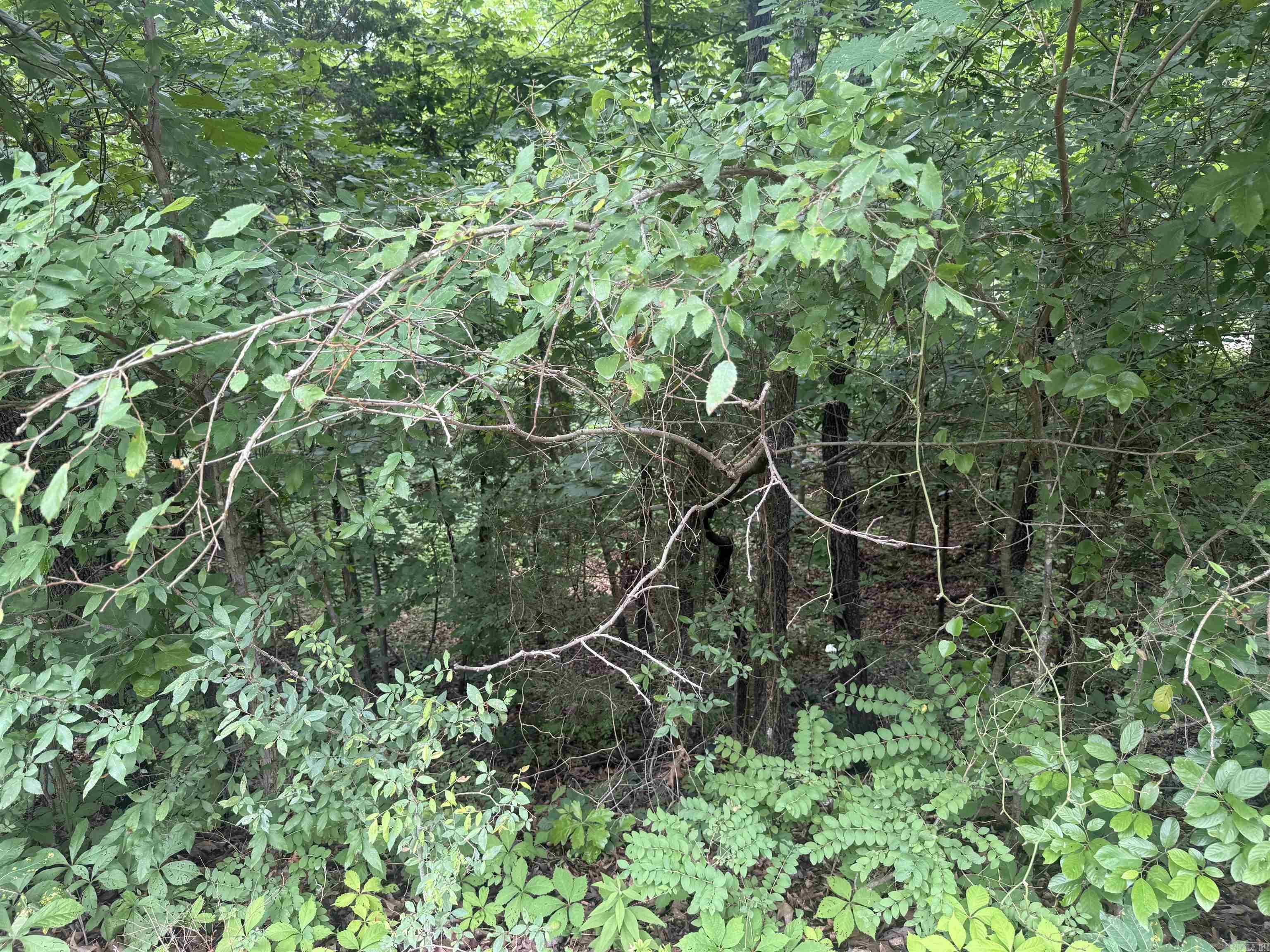 Photo 6 - Vacant Land for sale – 000  Iroquois   Cherokee Village, AR