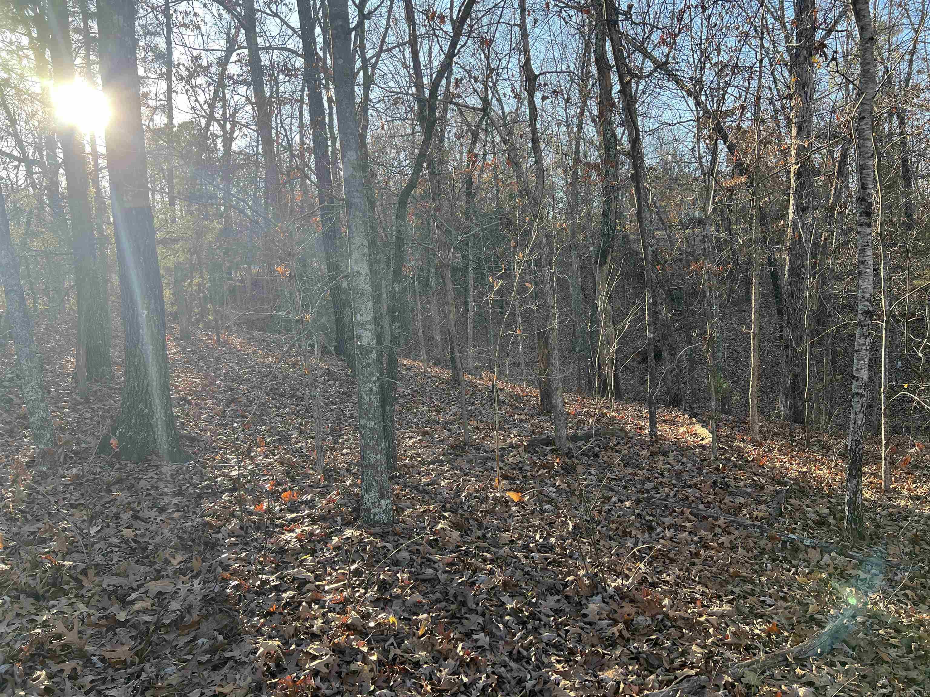 Photo 7 - Vacant Land for sale – 000  Iroquois   Cherokee Village, AR