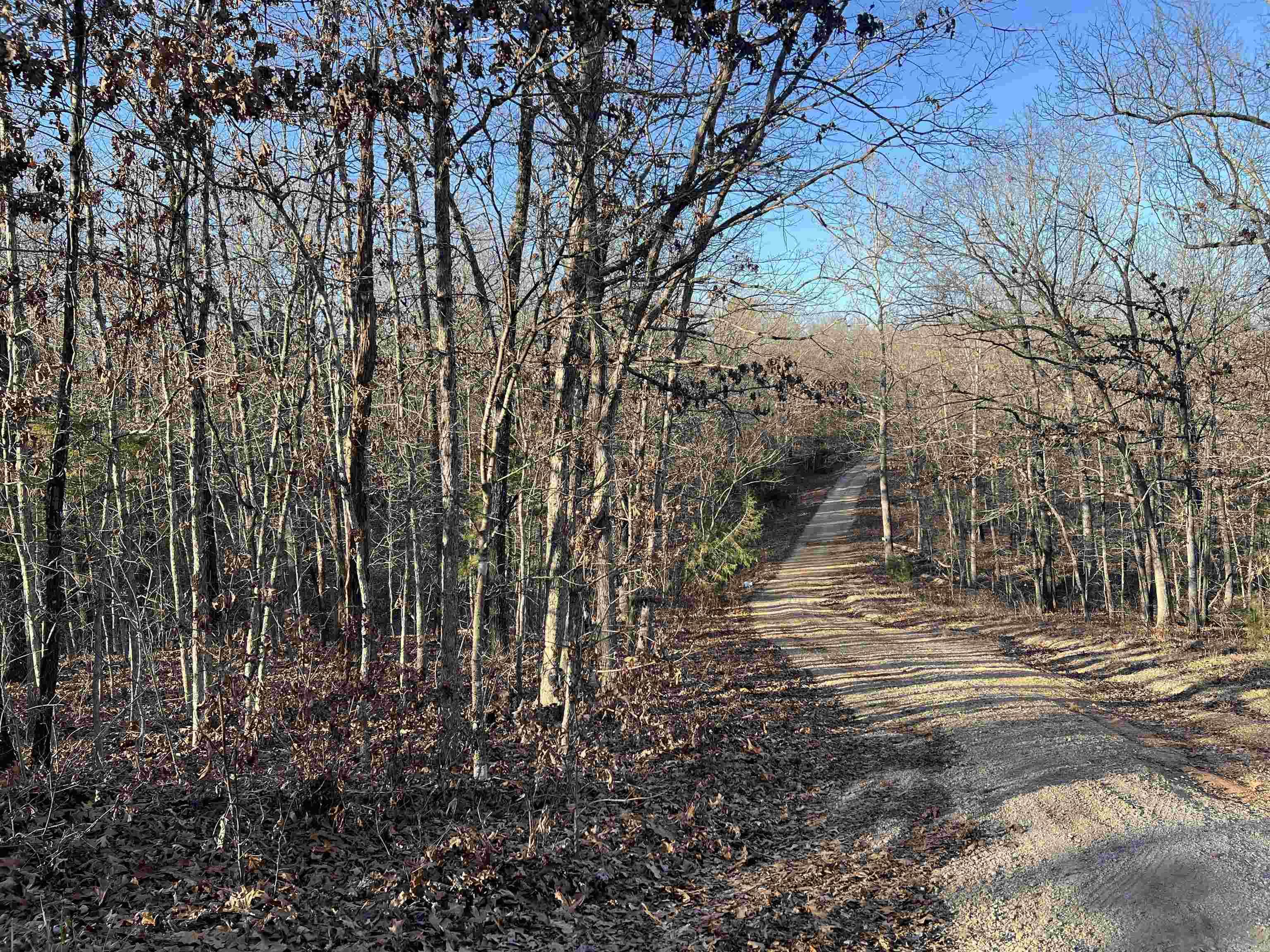 Photo 8 - Vacant Land for sale – 000  Iroquois   Cherokee Village, AR