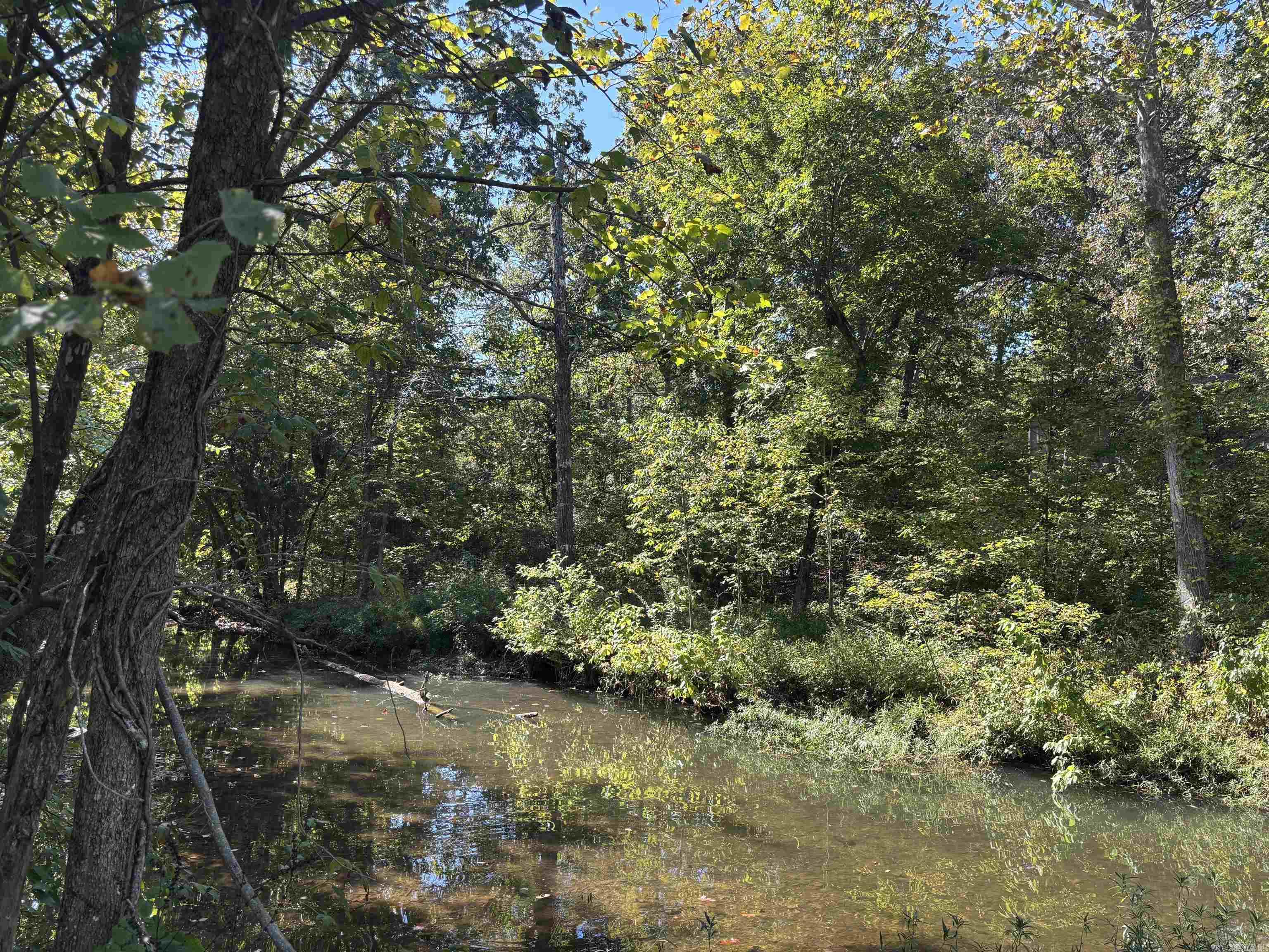 Photo 3 - Vacant Land for sale – TBD W Lakeshore   Cherokee Village, AR