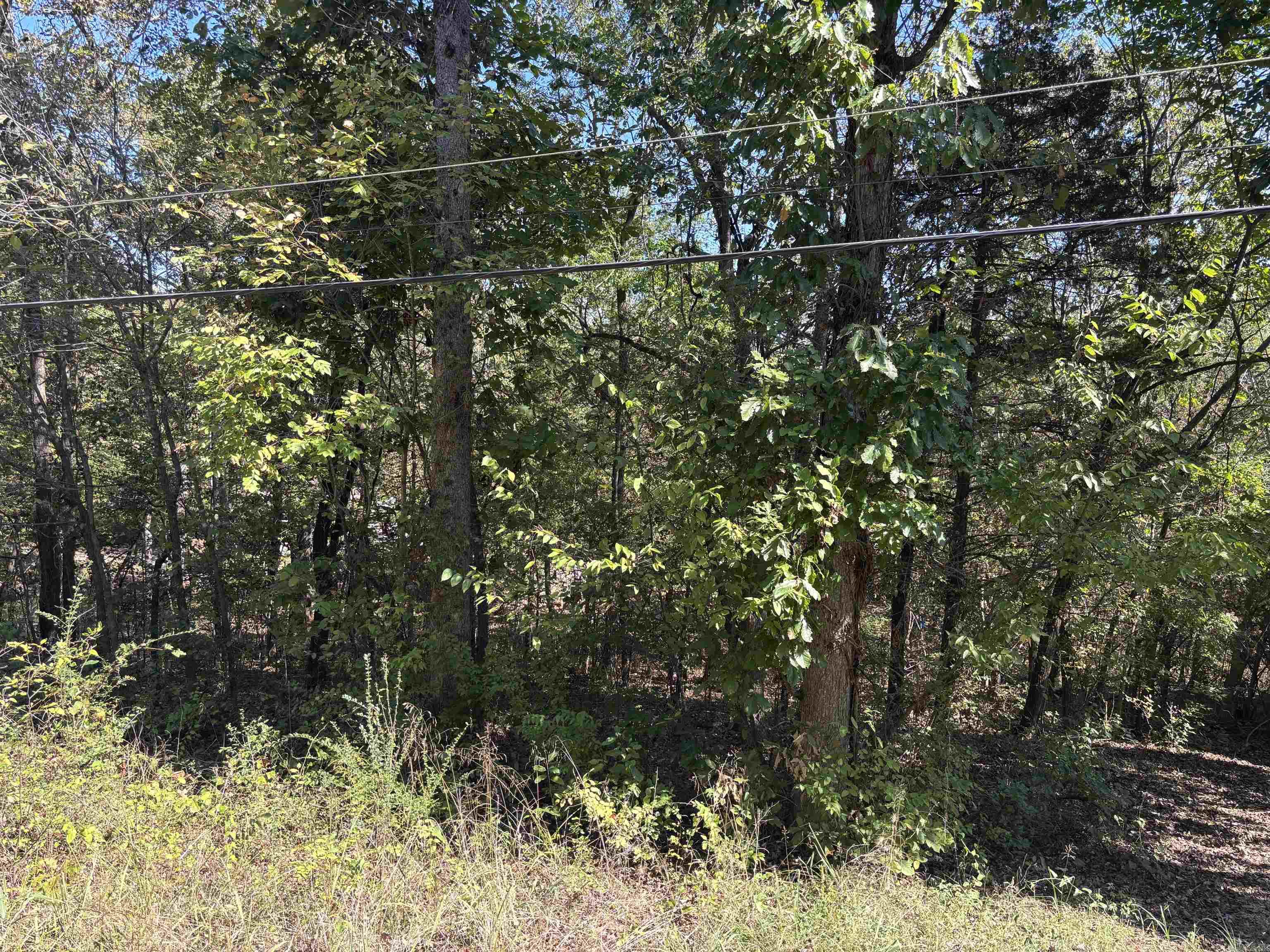 Photo 4 - Vacant Land for sale – TBD W Lakeshore   Cherokee Village, AR