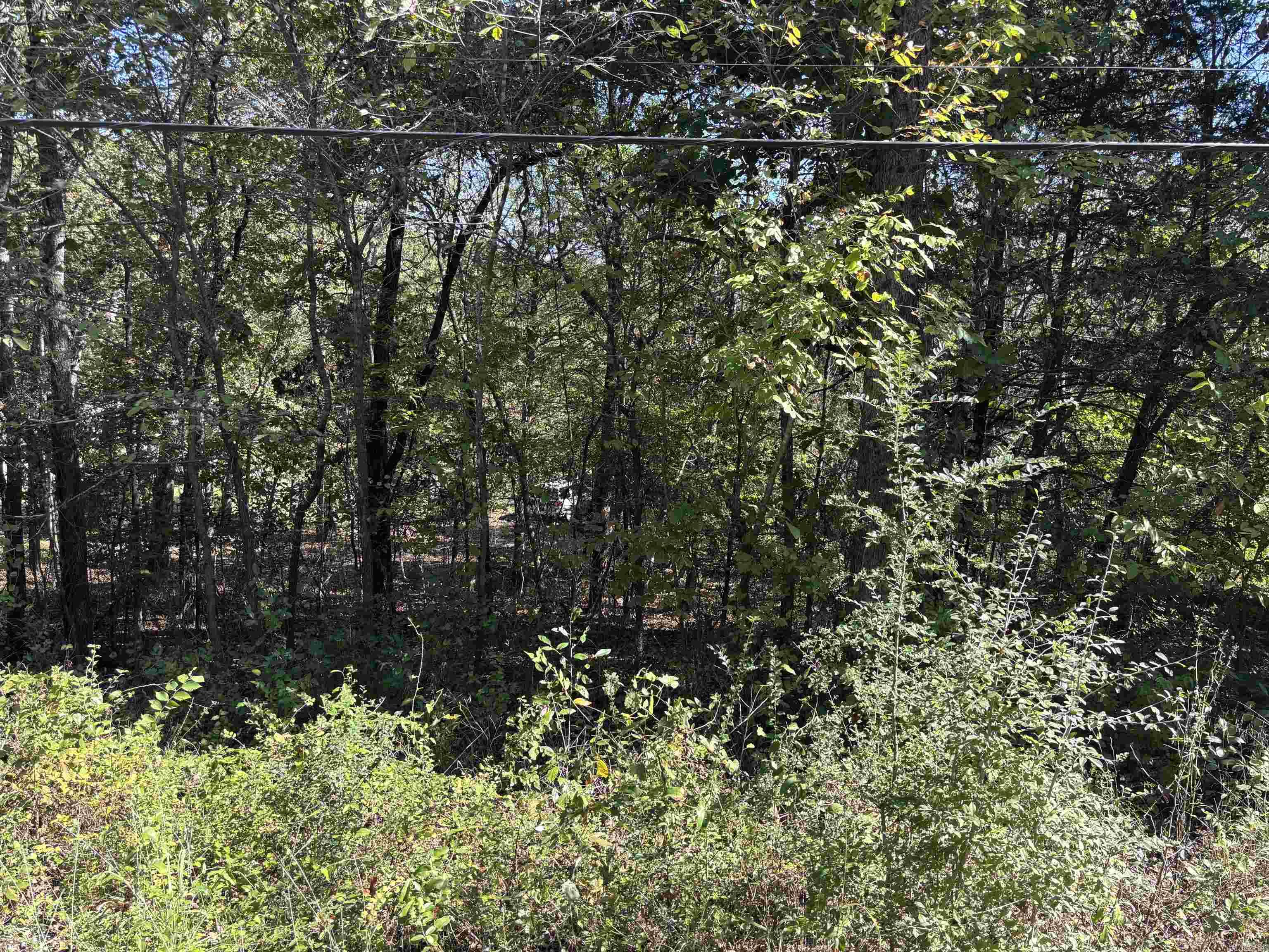 Photo 5 - Vacant Land for sale – TBD W Lakeshore   Cherokee Village, AR