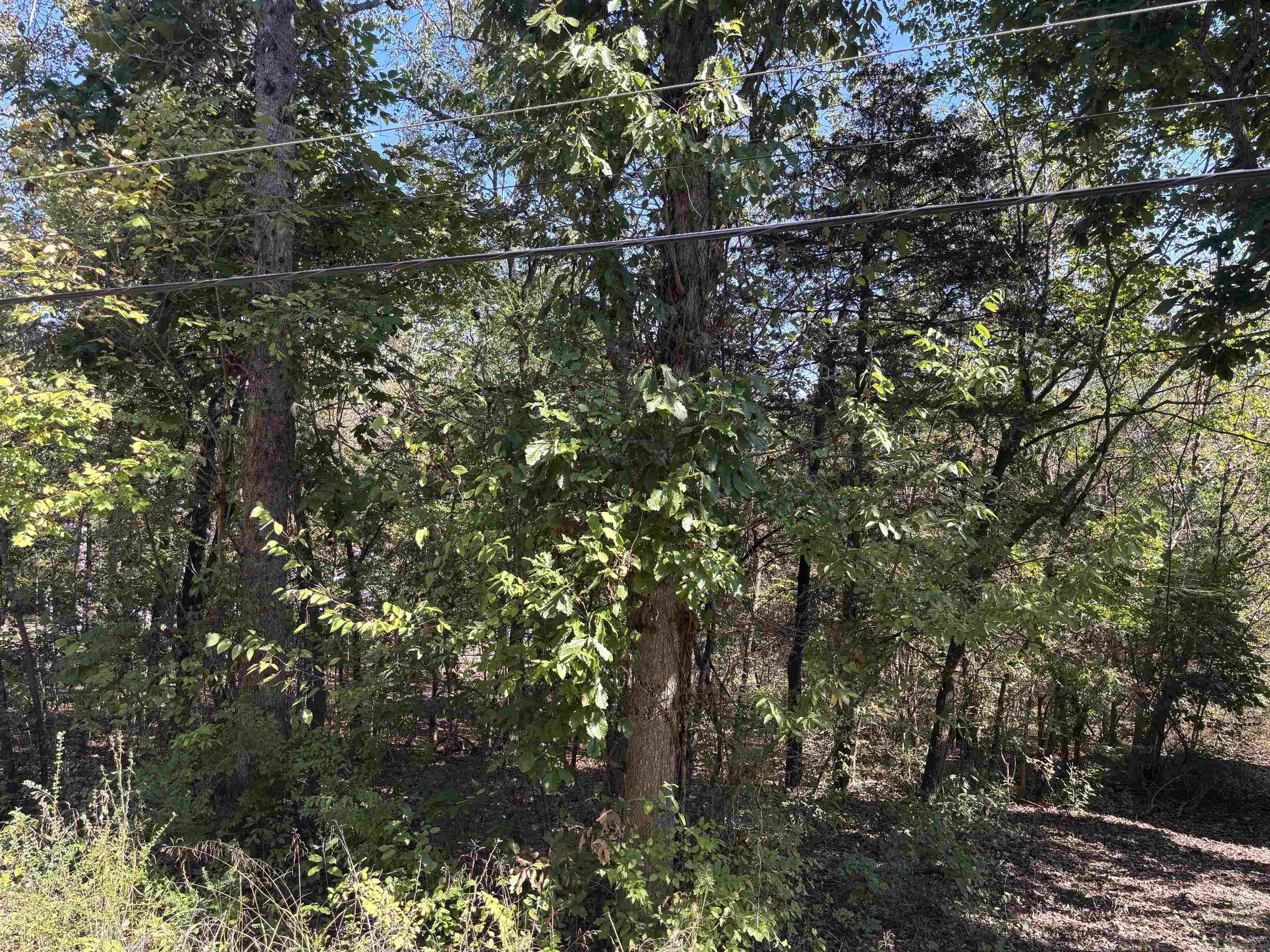 Photo 7 - Vacant Land for sale – TBD W Lakeshore   Cherokee Village, AR