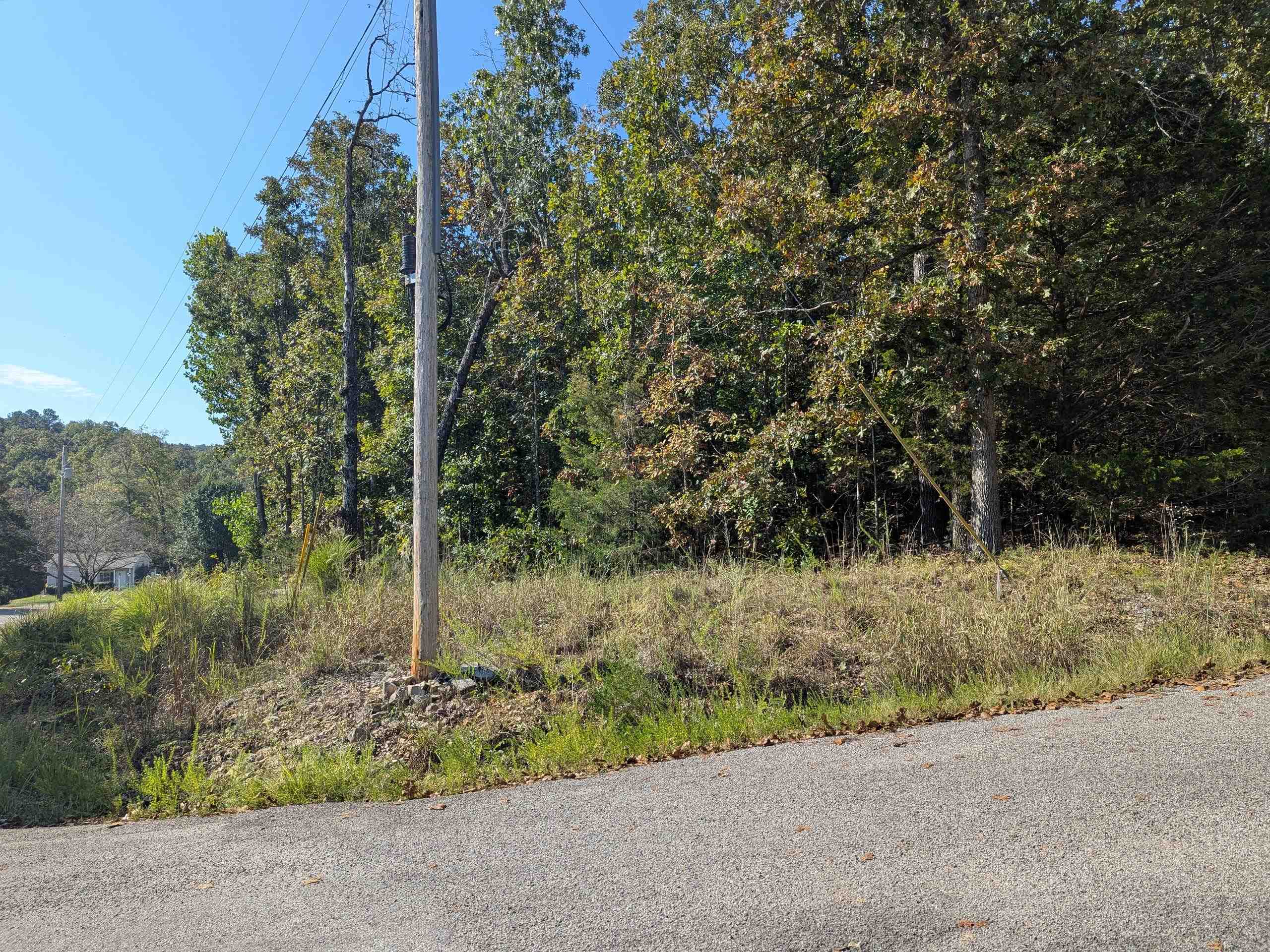 Photo 11 - Vacant Land for sale – L20,21,22 B6  Lakota   Cherokee Village, AR