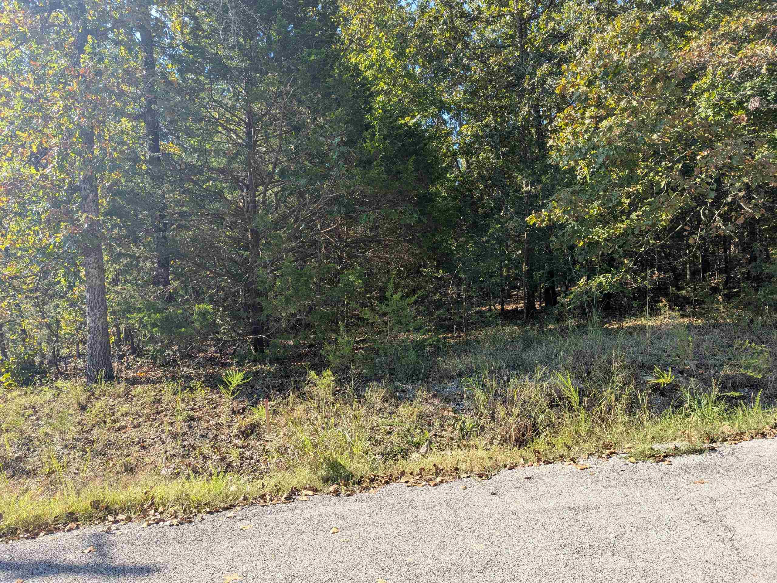 Photo 12 - Vacant Land for sale – L20,21,22 B6  Lakota   Cherokee Village, AR