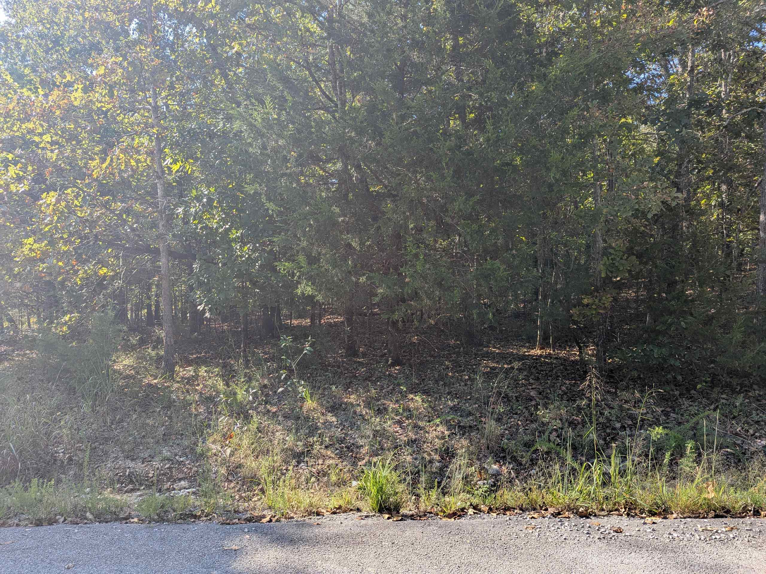 Photo 13 - Vacant Land for sale – L20,21,22 B6  Lakota   Cherokee Village, AR