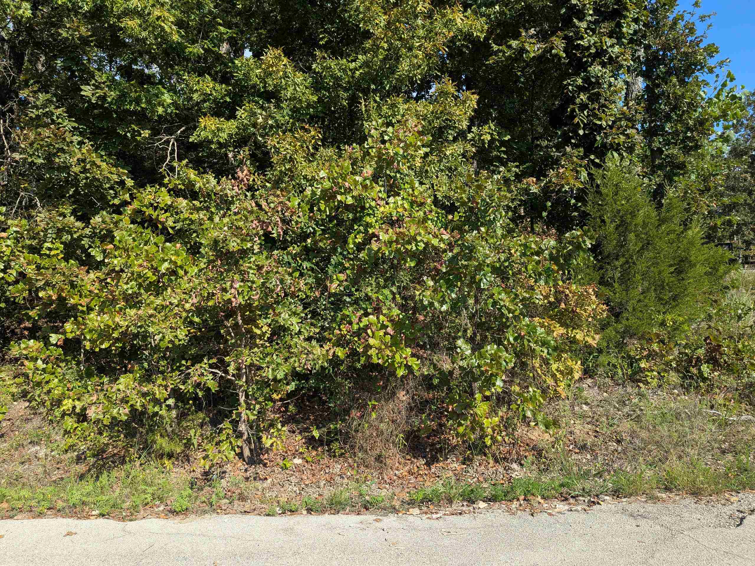 Photo 3 - Vacant Land for sale – L20,21,22 B6  Lakota   Cherokee Village, AR