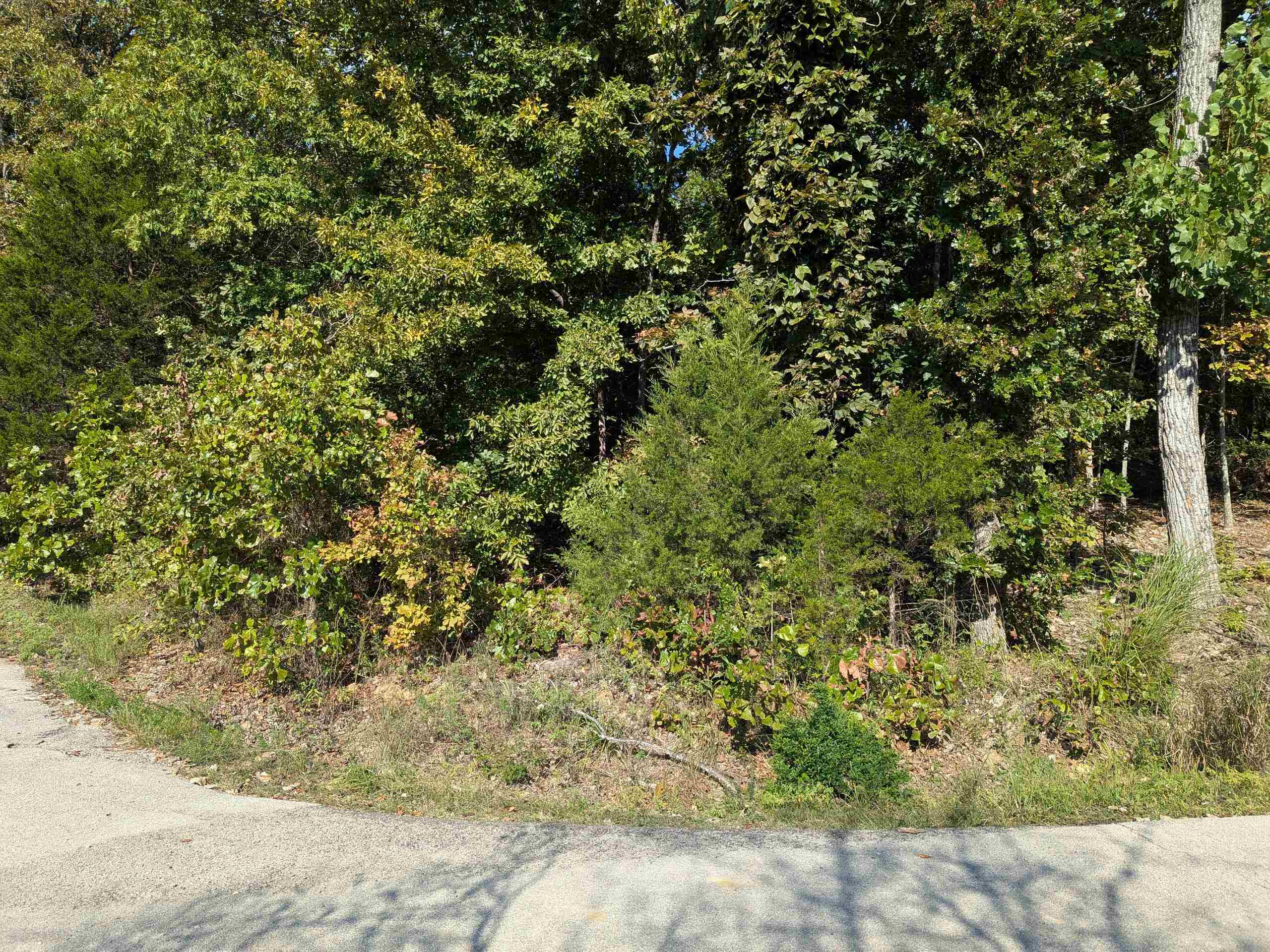 Photo 4 - Vacant Land for sale – L20,21,22 B6  Lakota   Cherokee Village, AR