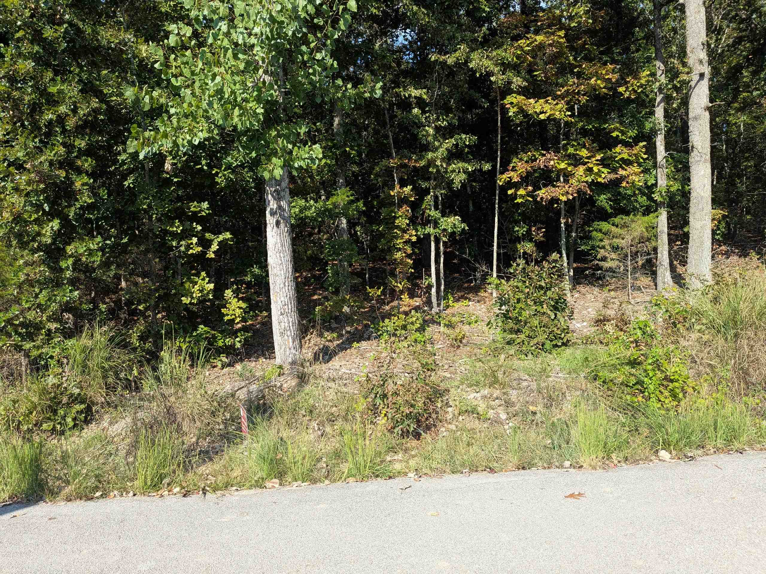 Photo 5 - Vacant Land for sale – L20,21,22 B6  Lakota   Cherokee Village, AR