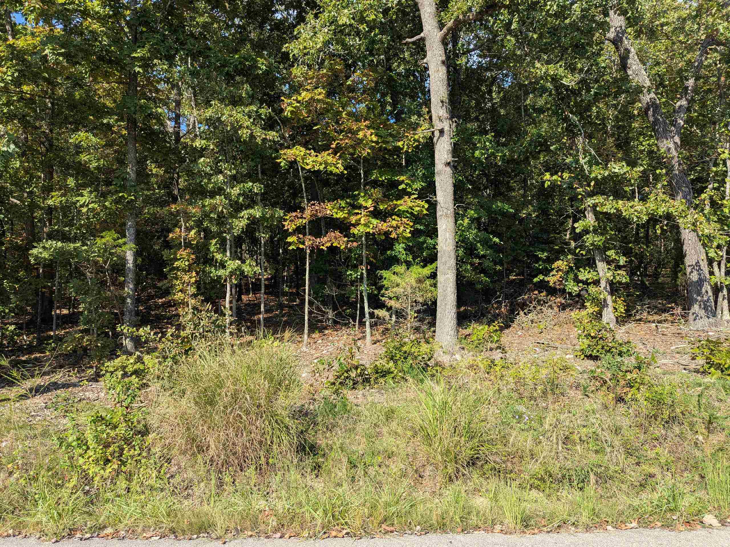 Photo 6 - Vacant Land for sale – L20,21,22 B6  Lakota   Cherokee Village, AR