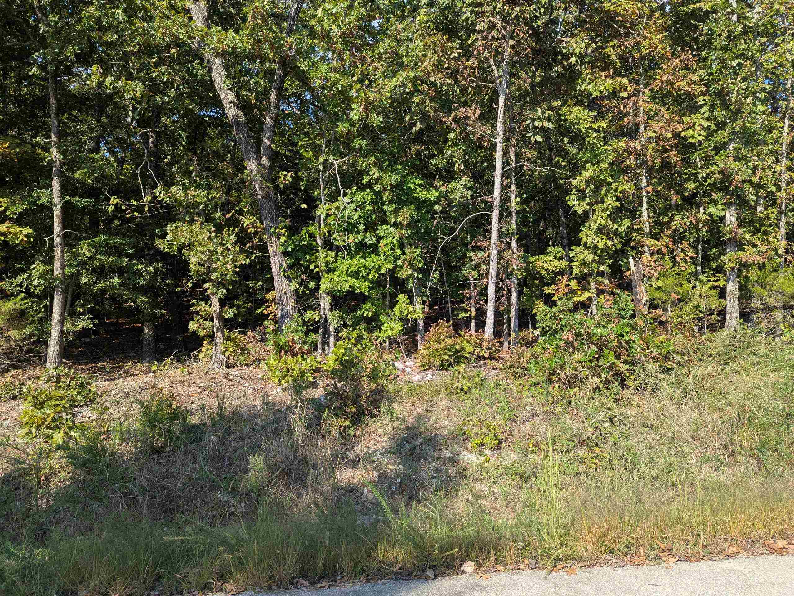 Photo 7 - Vacant Land for sale – L20,21,22 B6  Lakota   Cherokee Village, AR
