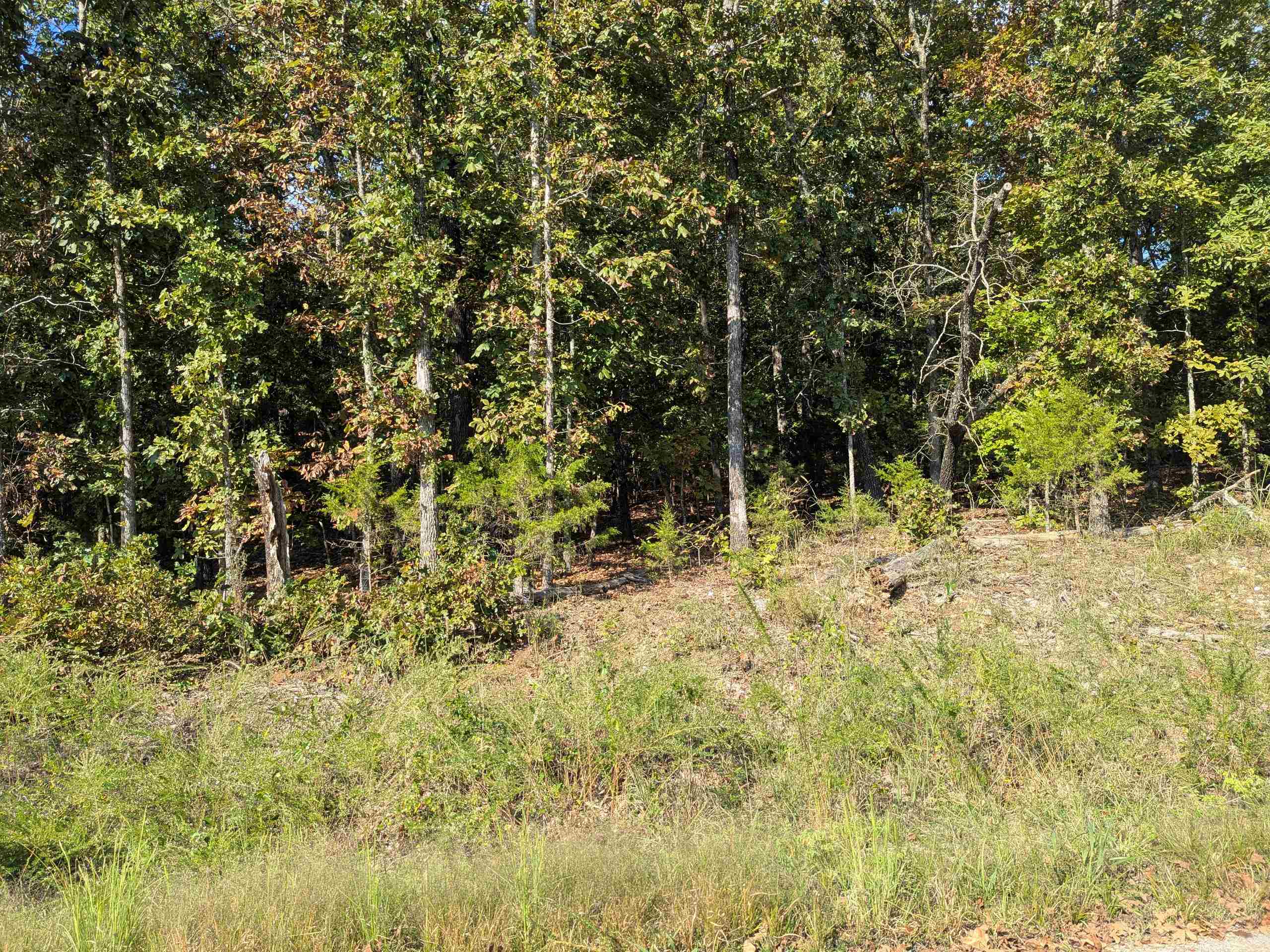 Photo 8 - Vacant Land for sale – L20,21,22 B6  Lakota   Cherokee Village, AR
