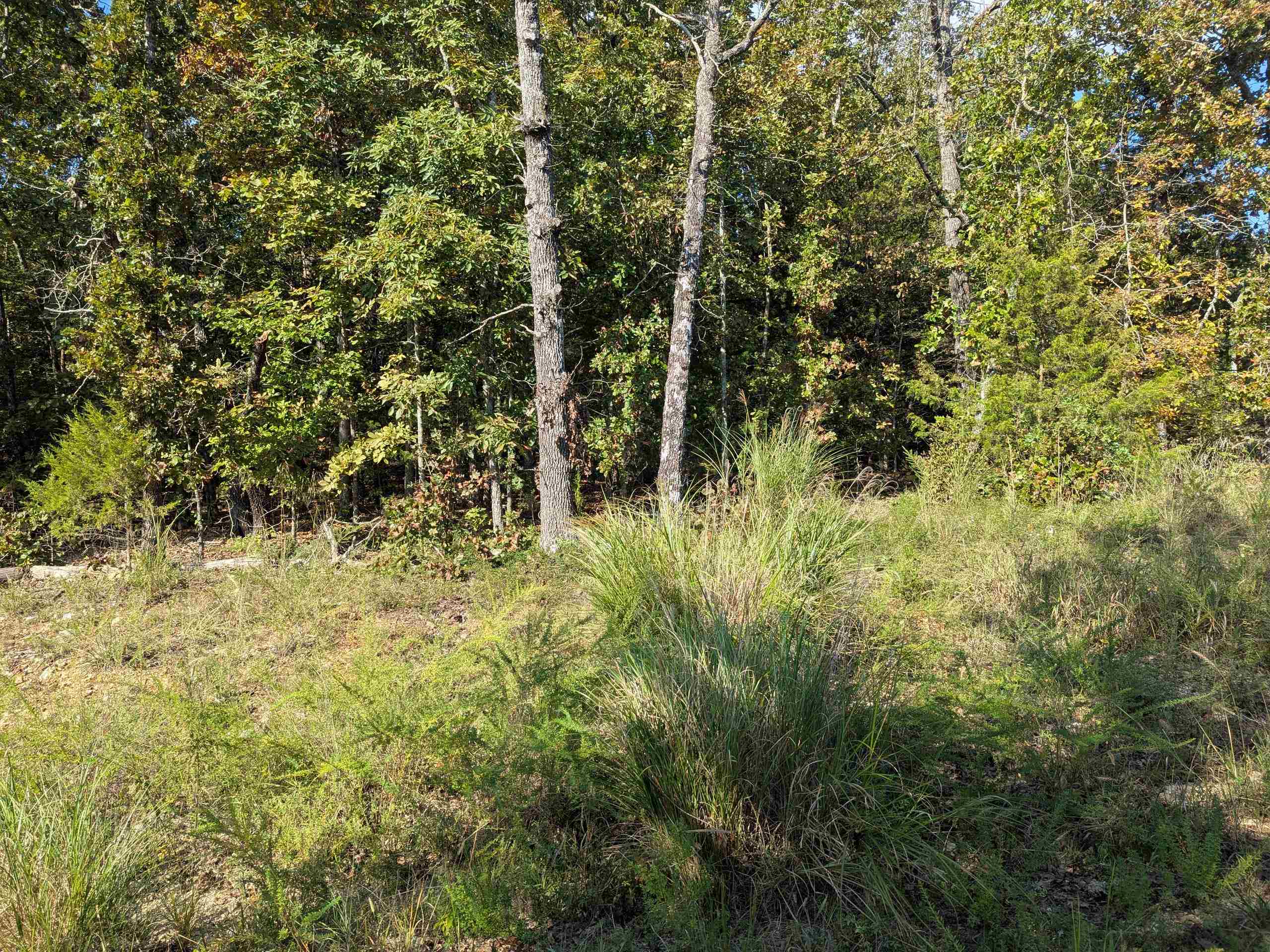 Photo 9 - Vacant Land for sale – L20,21,22 B6  Lakota   Cherokee Village, AR