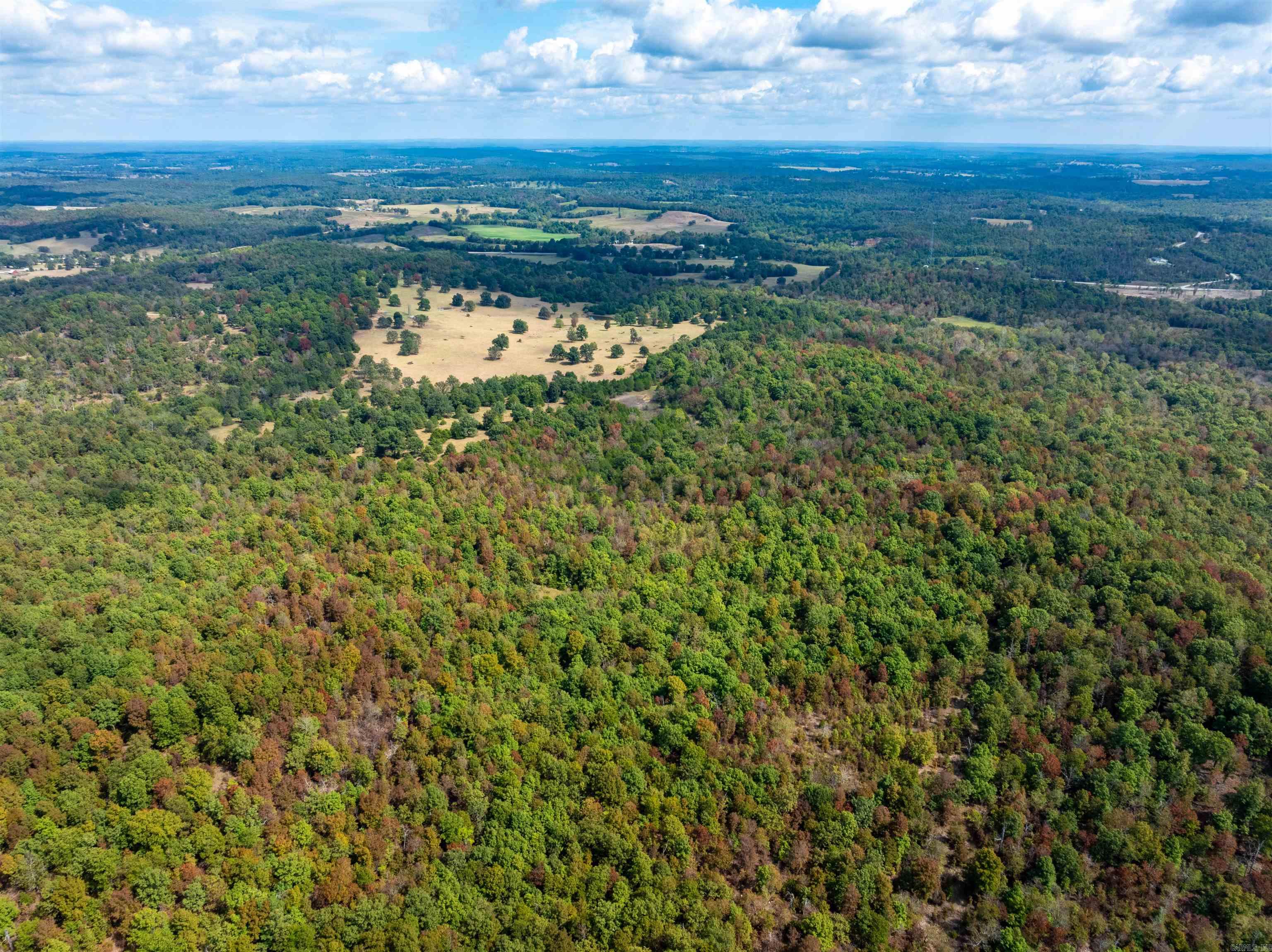 Vacant Land for sale – 0  Young Rd   Salem, AR