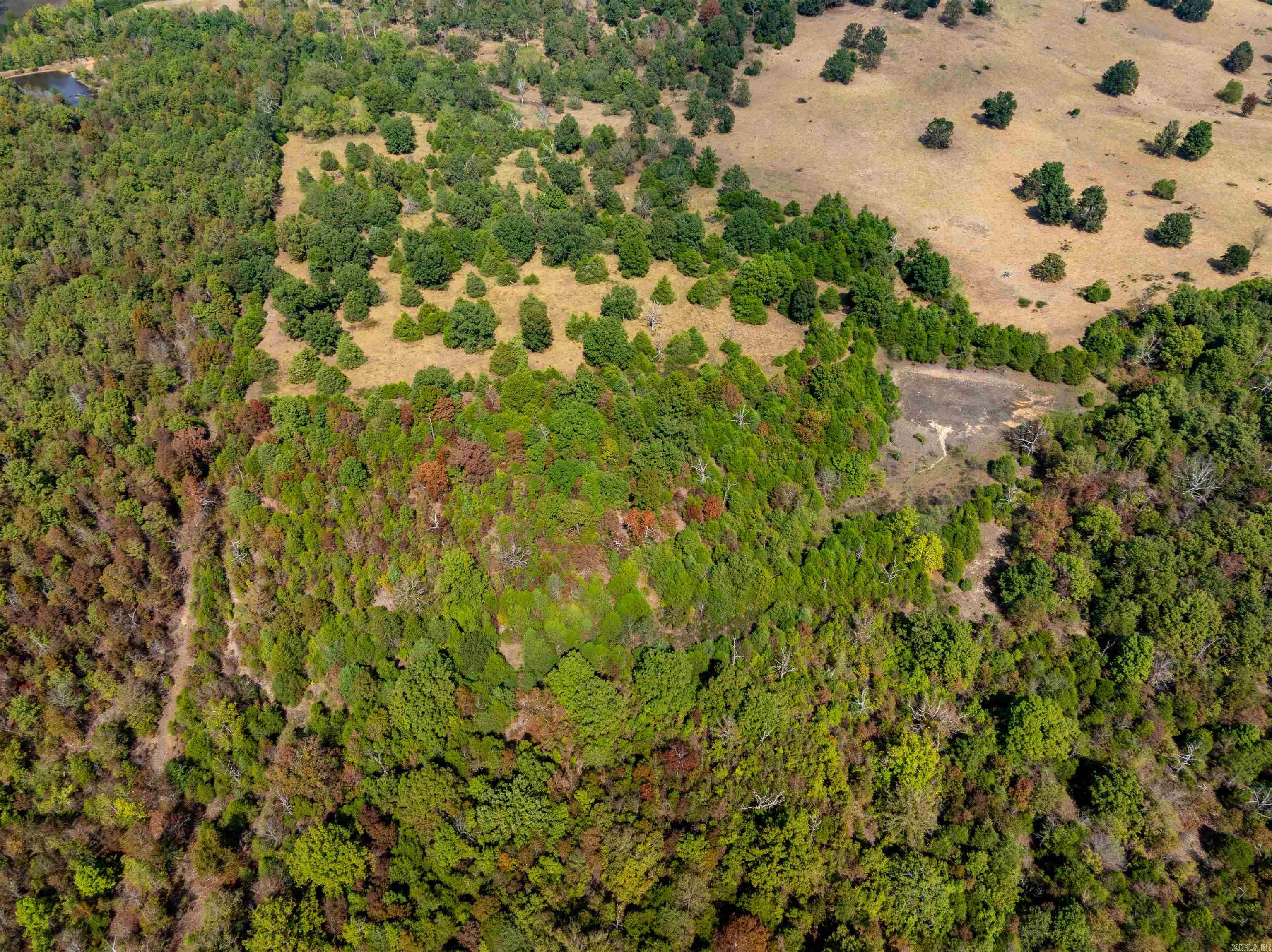 Photo 2 - Vacant Land for sale – 0  Young Rd   Salem, AR