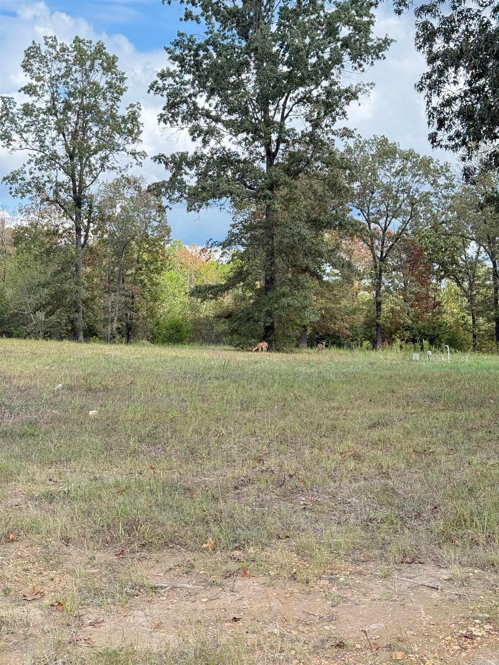 Photo 11 - Vacant Land for sale – 0  Young Rd   Salem, AR