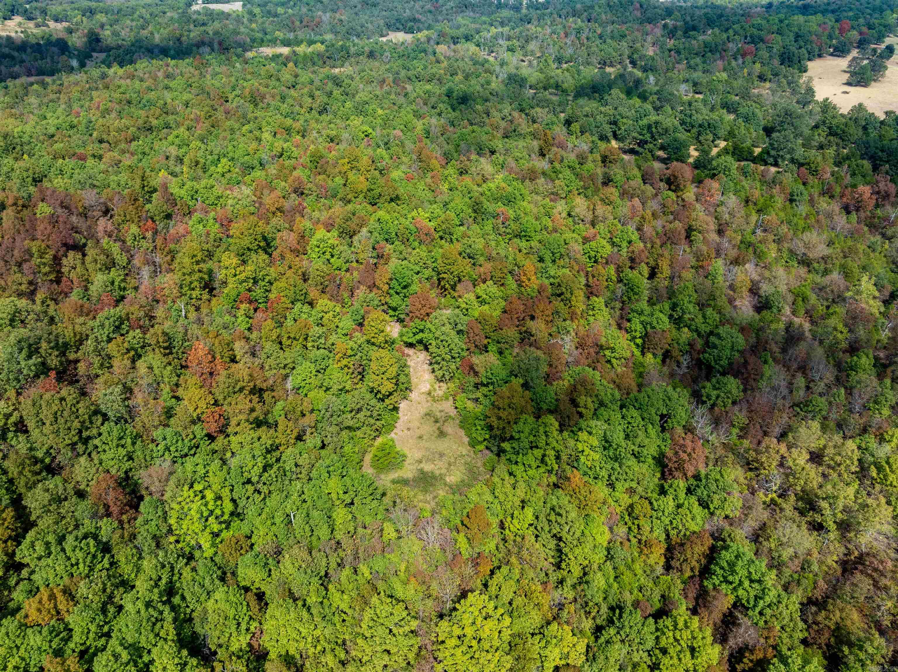 Photo 3 - Vacant Land for sale – 0  Young Rd   Salem, AR