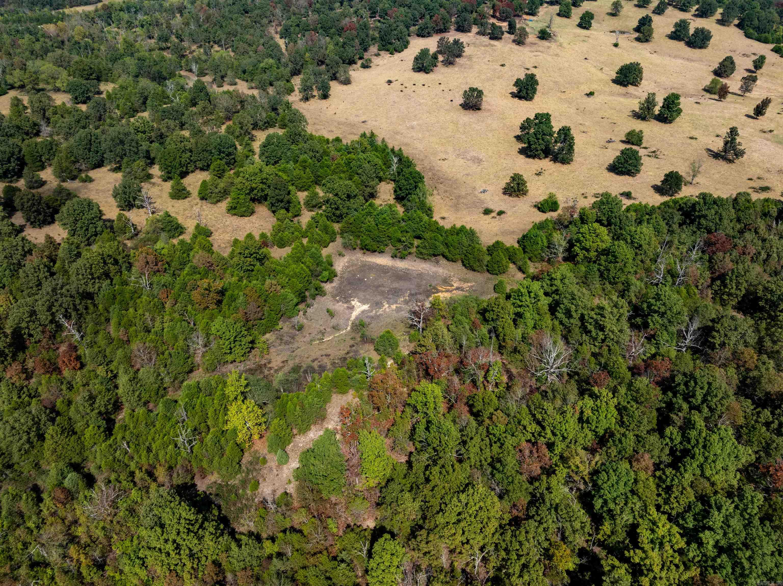 Photo 7 - Vacant Land for sale – 0  Young Rd   Salem, AR