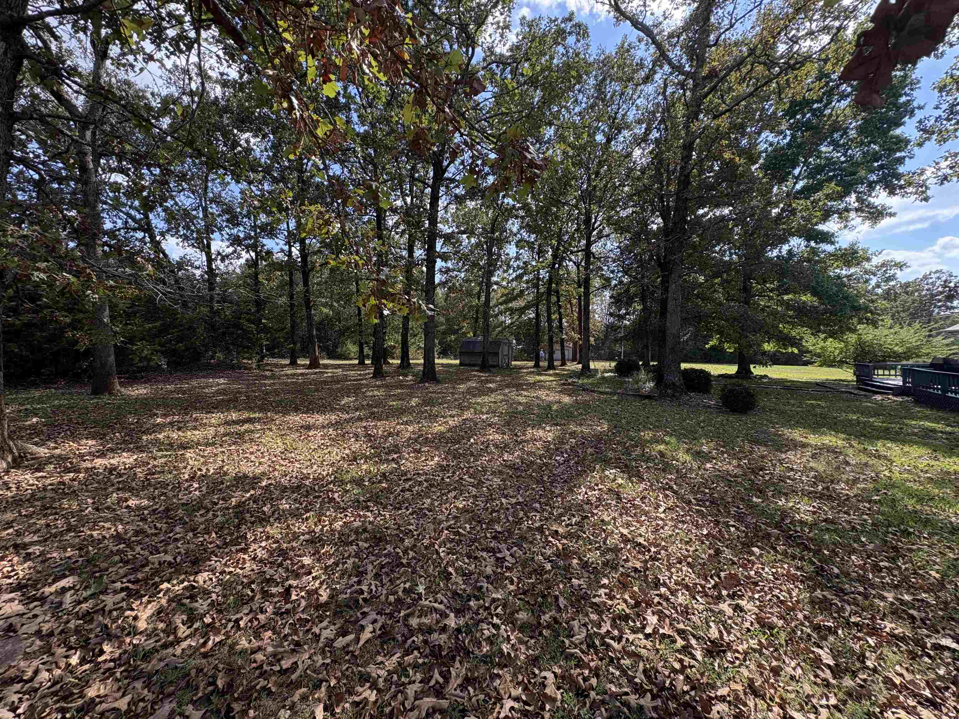 Photo 40 - Residential for sale – 280  AR Hwy 56   Ash Flat, AR