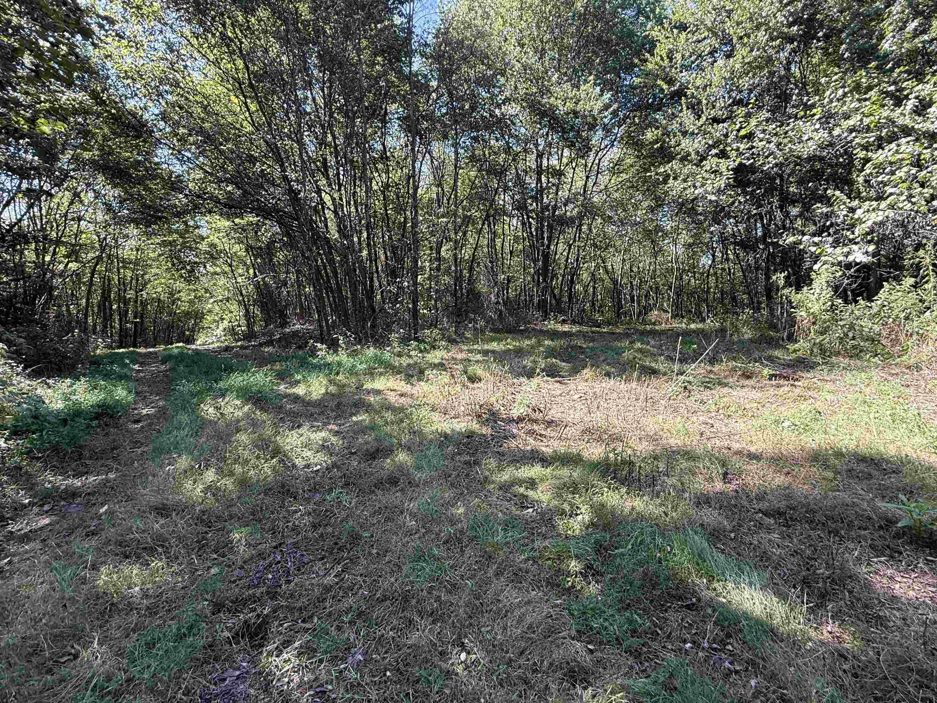 Photo 11 - Vacant Land for sale – 115A  Greasy Bottom Road   Melbourne, AR
