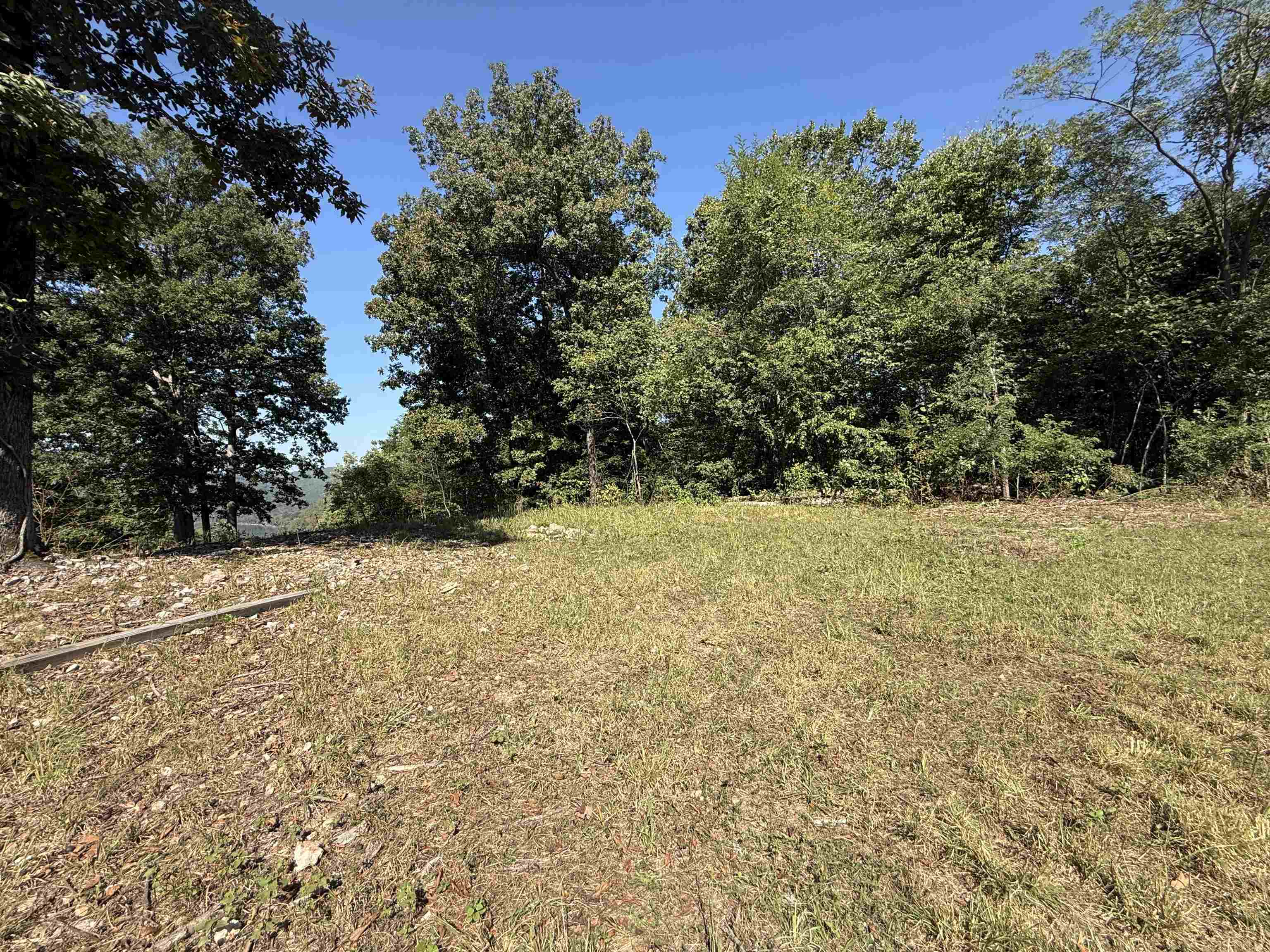 Photo 12 - Vacant Land for sale – 115A  Greasy Bottom Road   Melbourne, AR