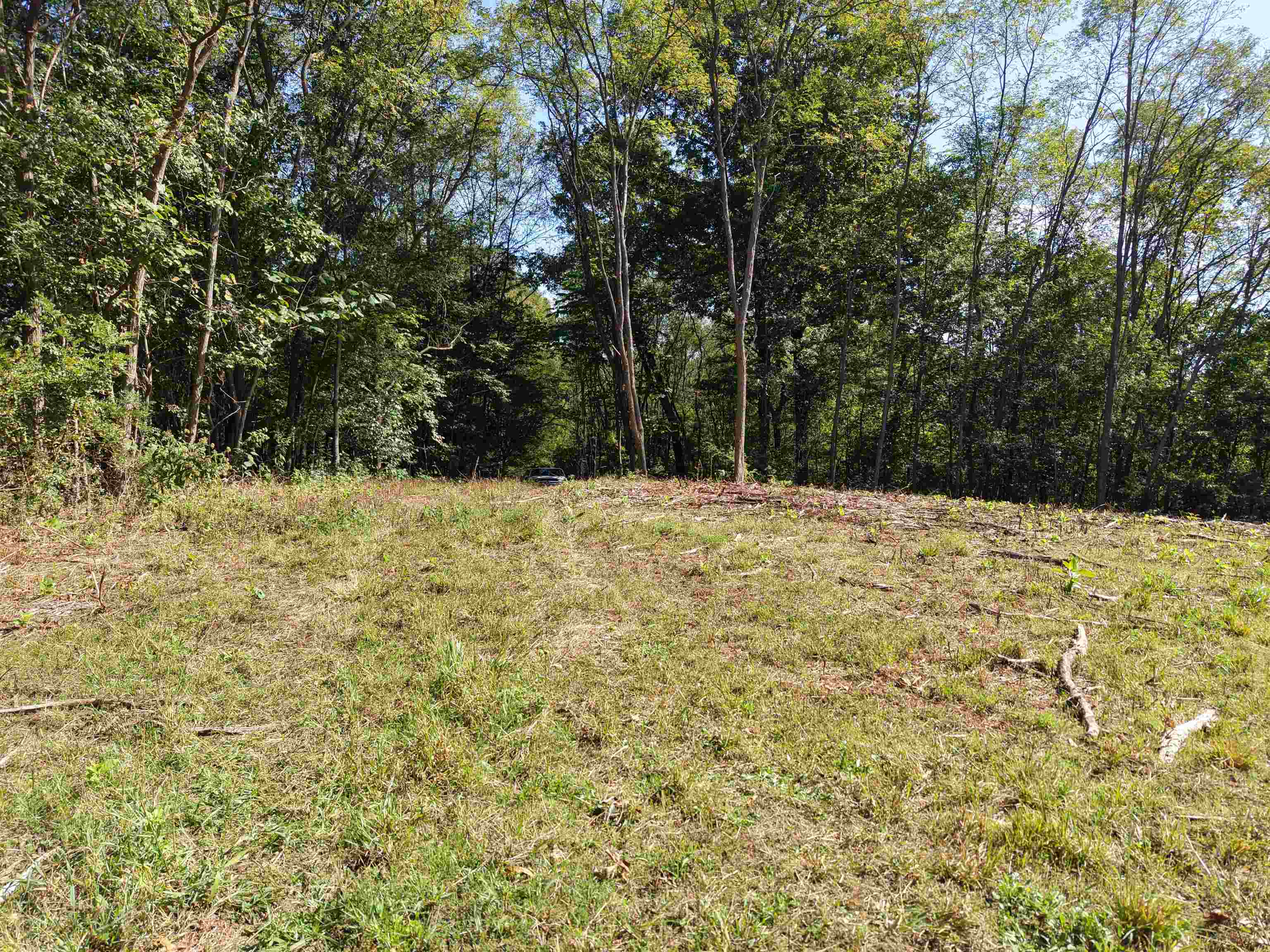 Photo 13 - Vacant Land for sale – 115A  Greasy Bottom Road   Melbourne, AR