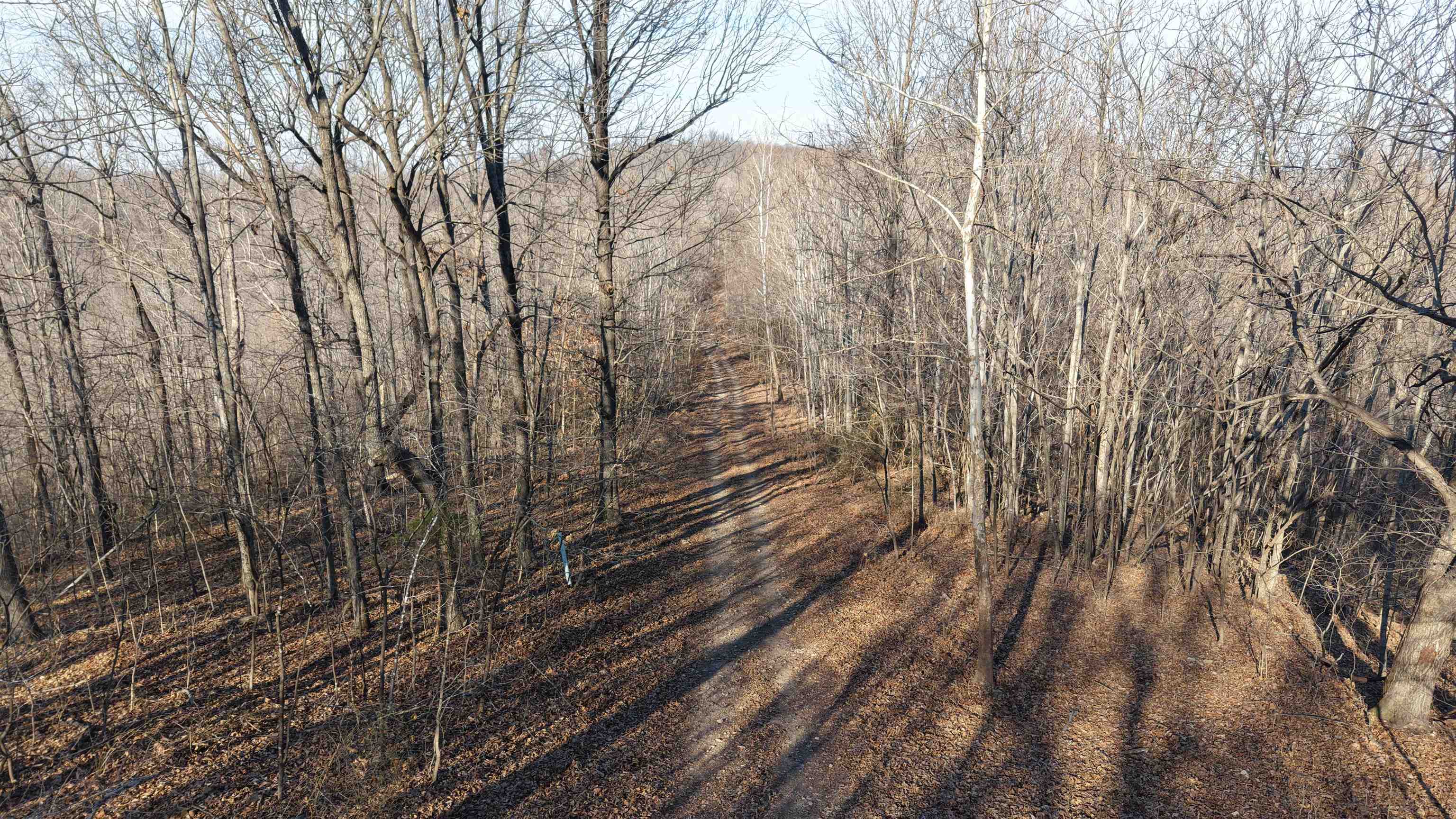 Photo 13 - Vacant Land for sale – 115A  Greasy Bottom Road   Melbourne, AR