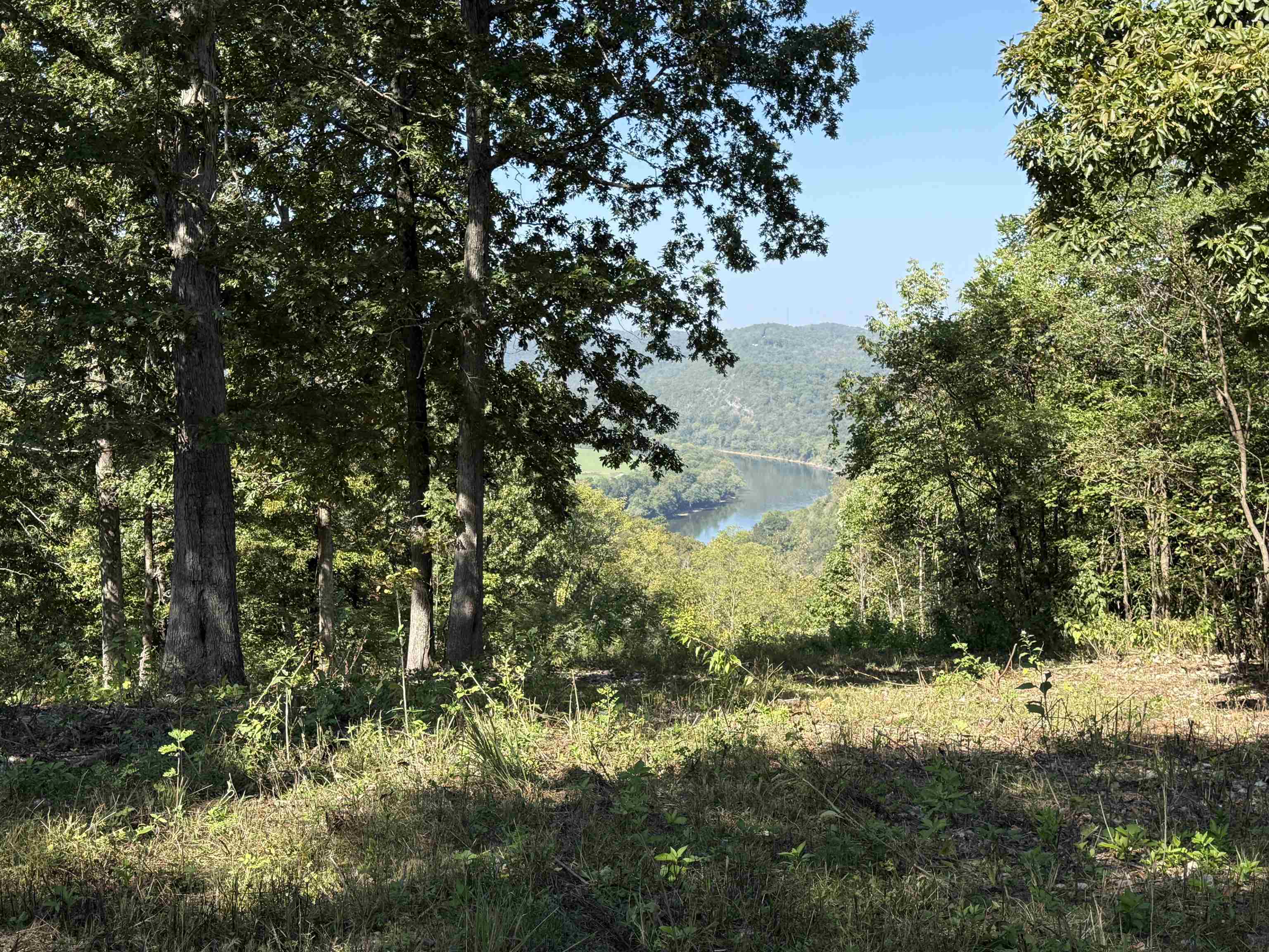 Photo 3 - Vacant Land for sale – 115A  Greasy Bottom Road   Melbourne, AR