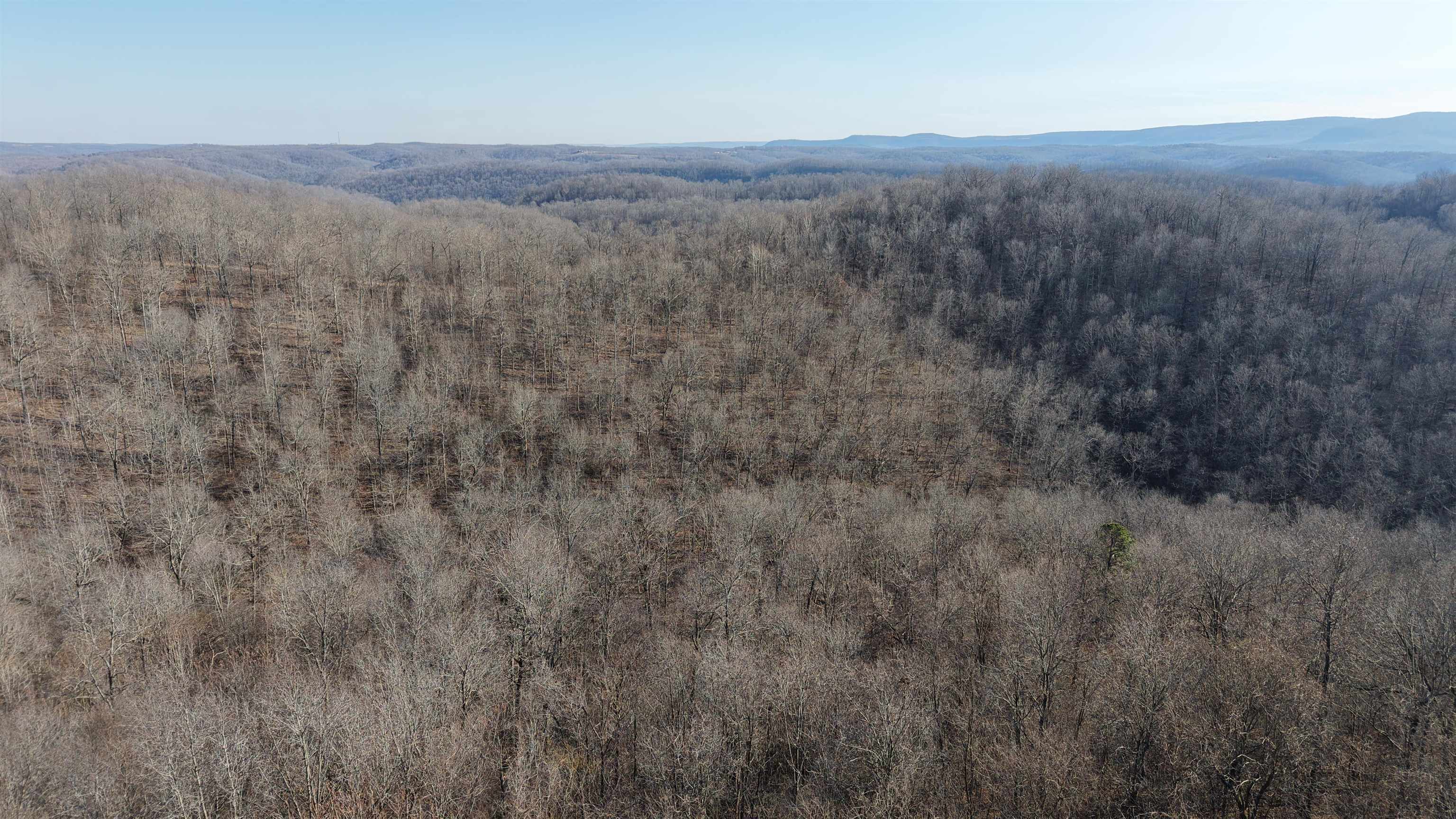 Photo 27 - Vacant Land for sale – 115A  Greasy Bottom Road   Melbourne, AR