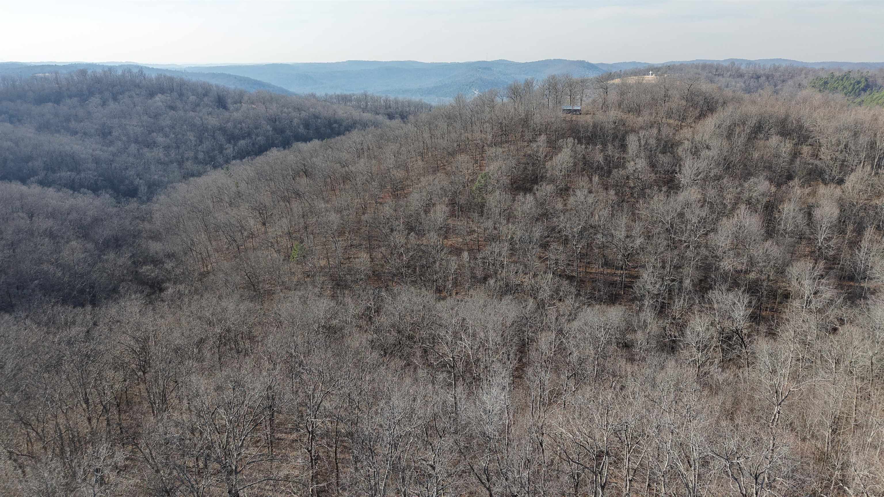 Photo 29 - Vacant Land for sale – 115A  Greasy Bottom Road   Melbourne, AR