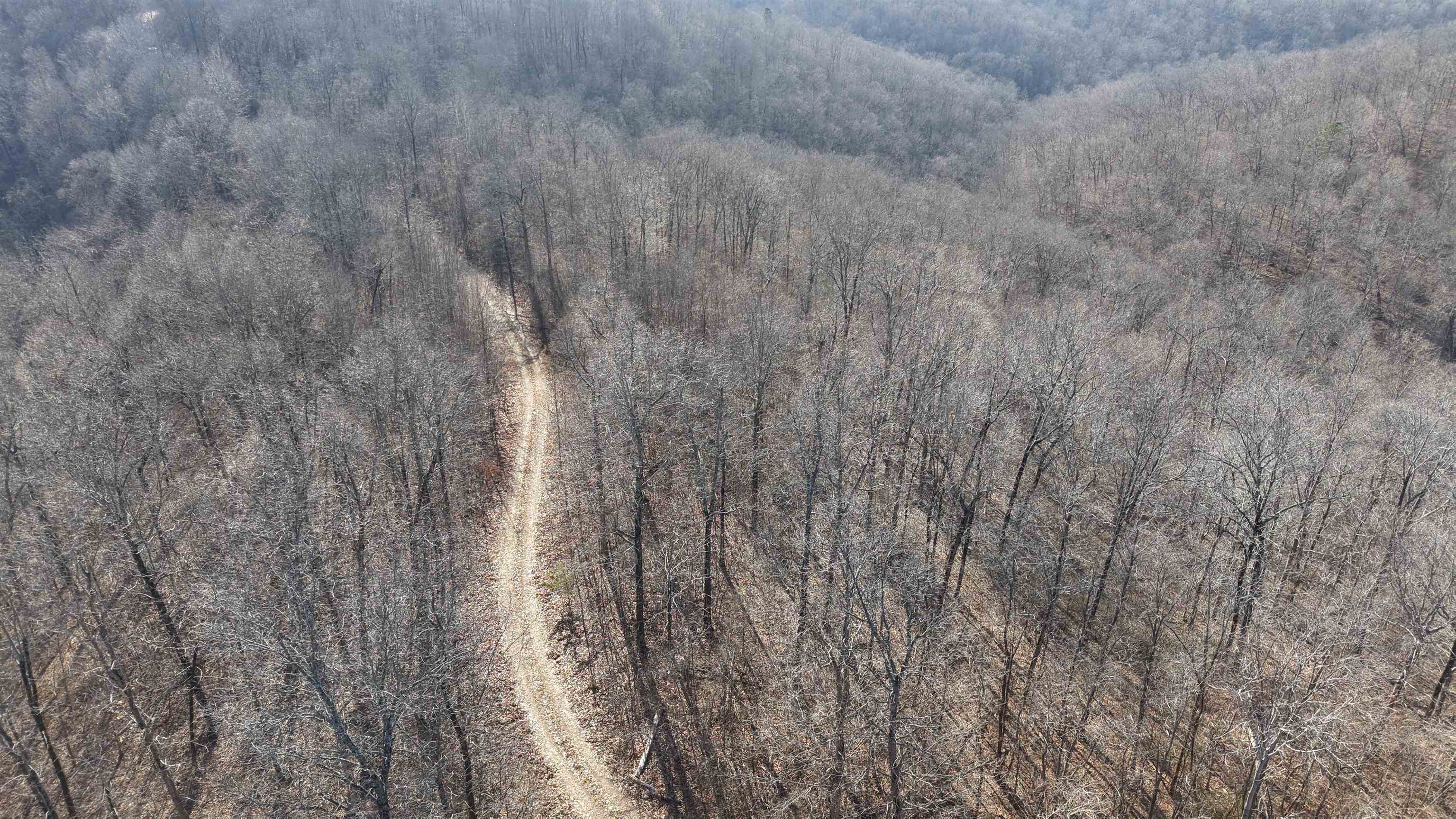 Photo 30 - Vacant Land for sale – 115A  Greasy Bottom Road   Melbourne, AR