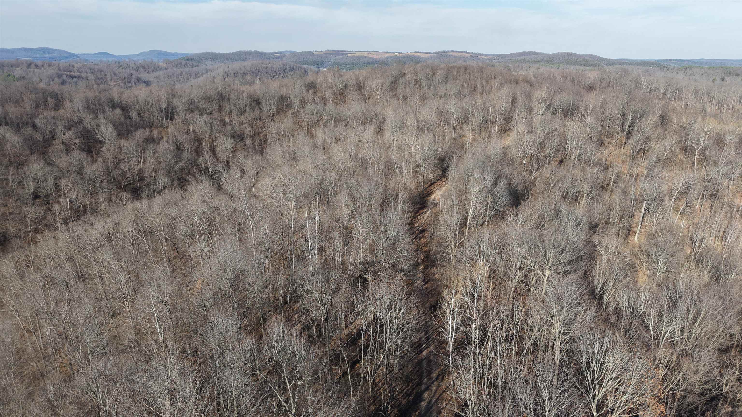 Photo 5 - Vacant Land for sale – 115A  Greasy Bottom Road   Melbourne, AR