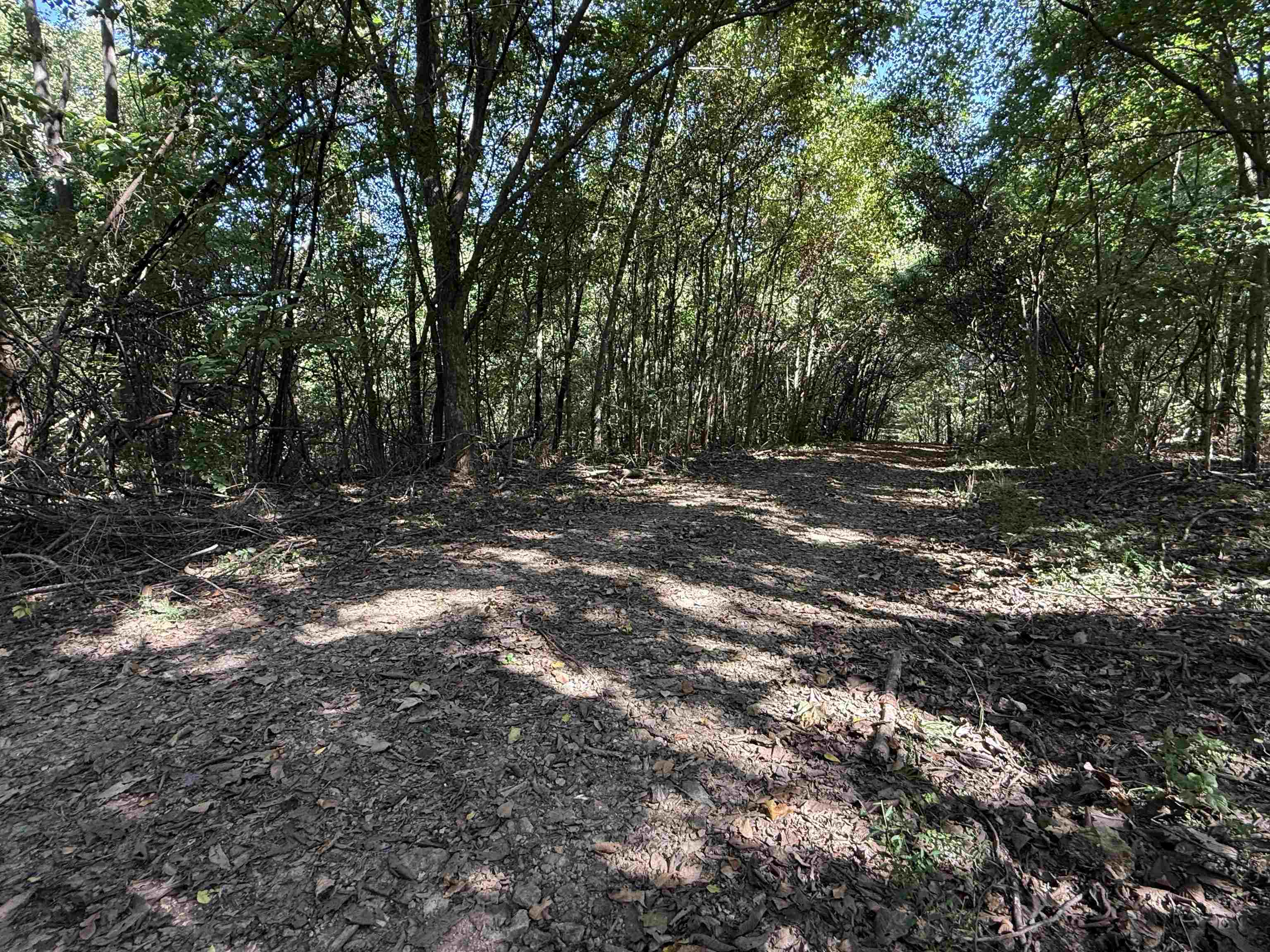 Photo 6 - Vacant Land for sale – 115A  Greasy Bottom Road   Melbourne, AR