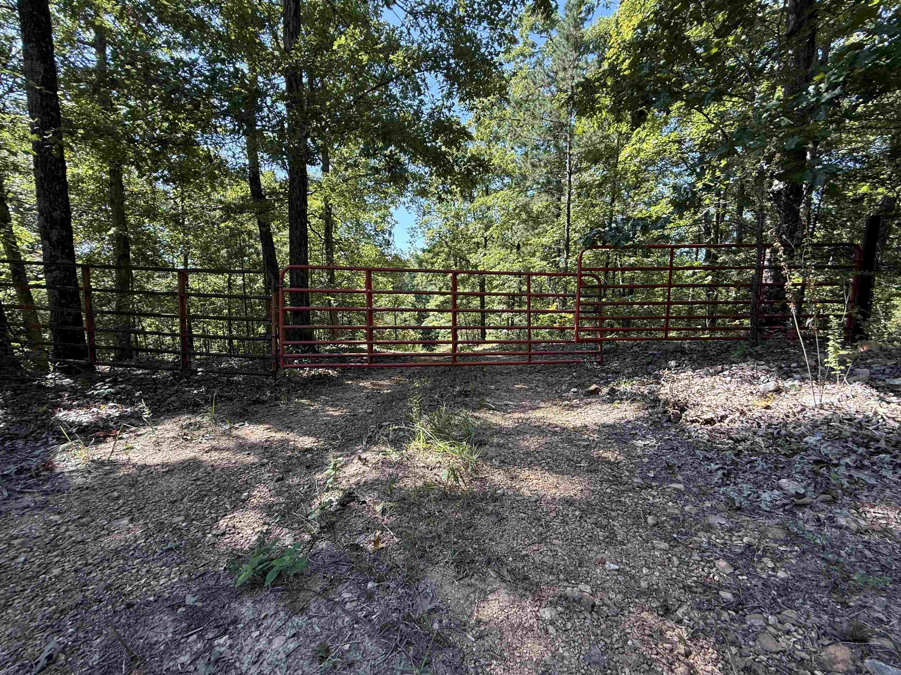 Photo 7 - Vacant Land for sale – 115A  Greasy Bottom Road   Melbourne, AR