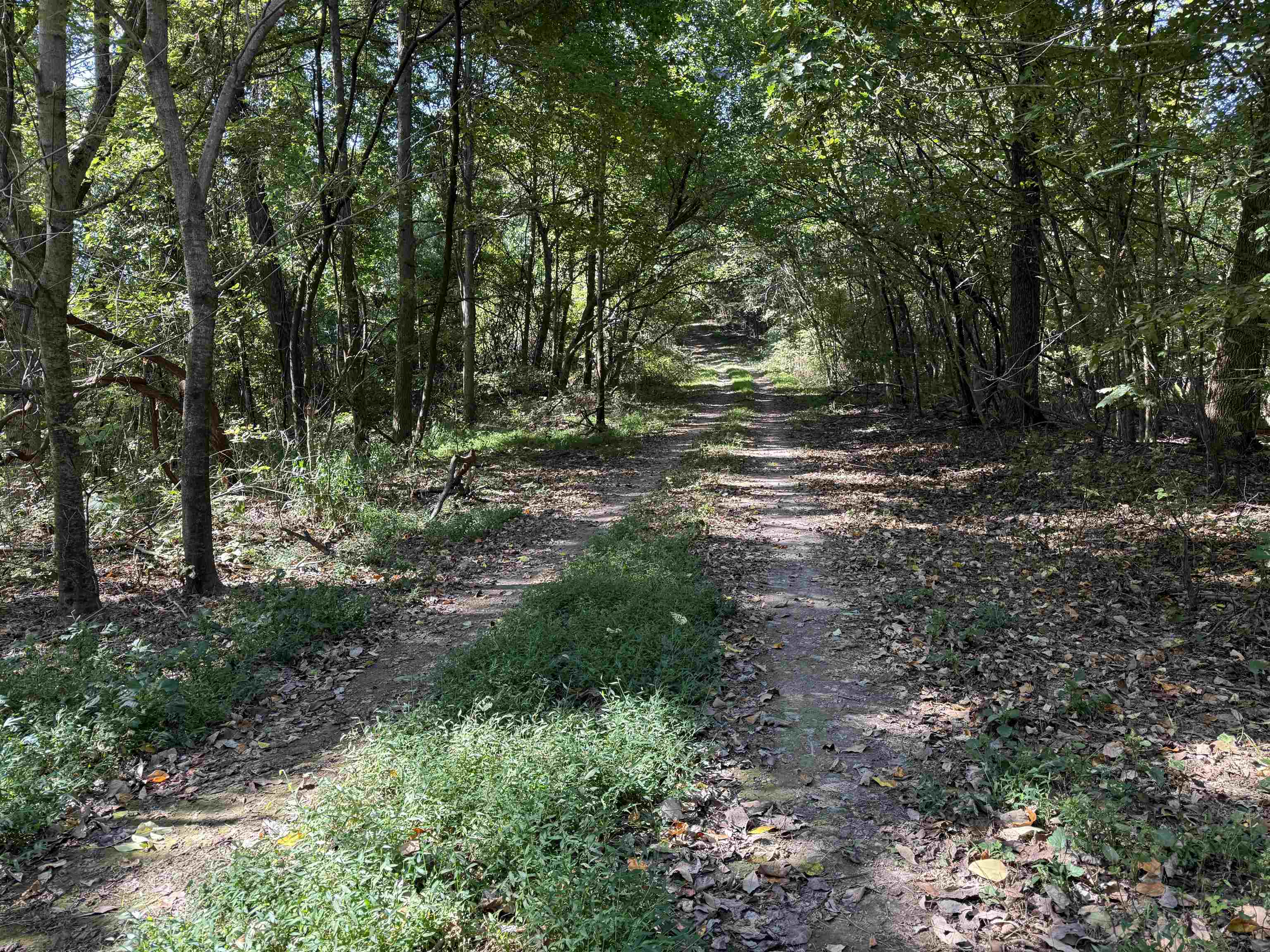 Photo 9 - Vacant Land for sale – 115A  Greasy Bottom Road   Melbourne, AR