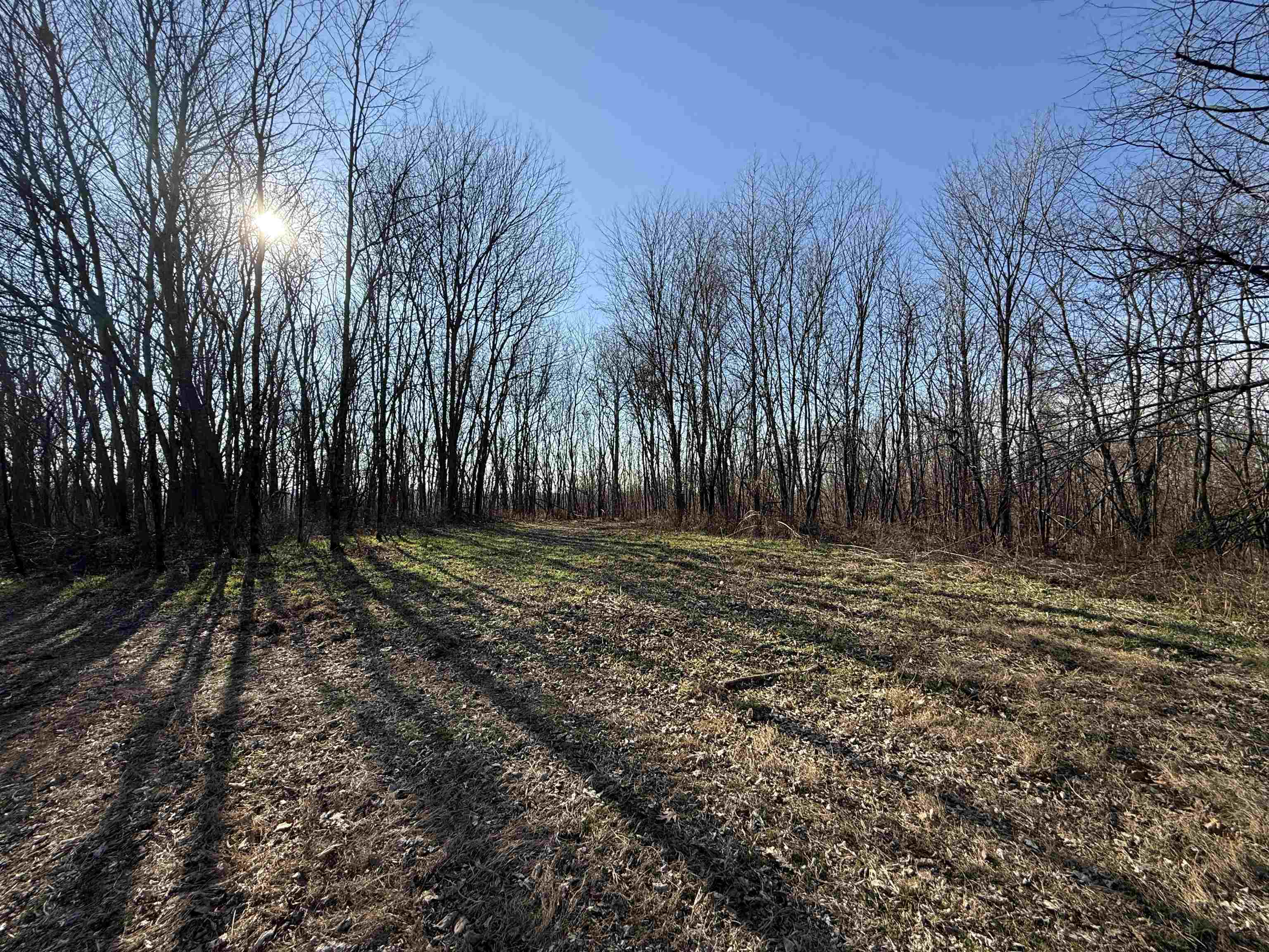 Photo 9 - Vacant Land for sale – 115A  Greasy Bottom Road   Melbourne, AR